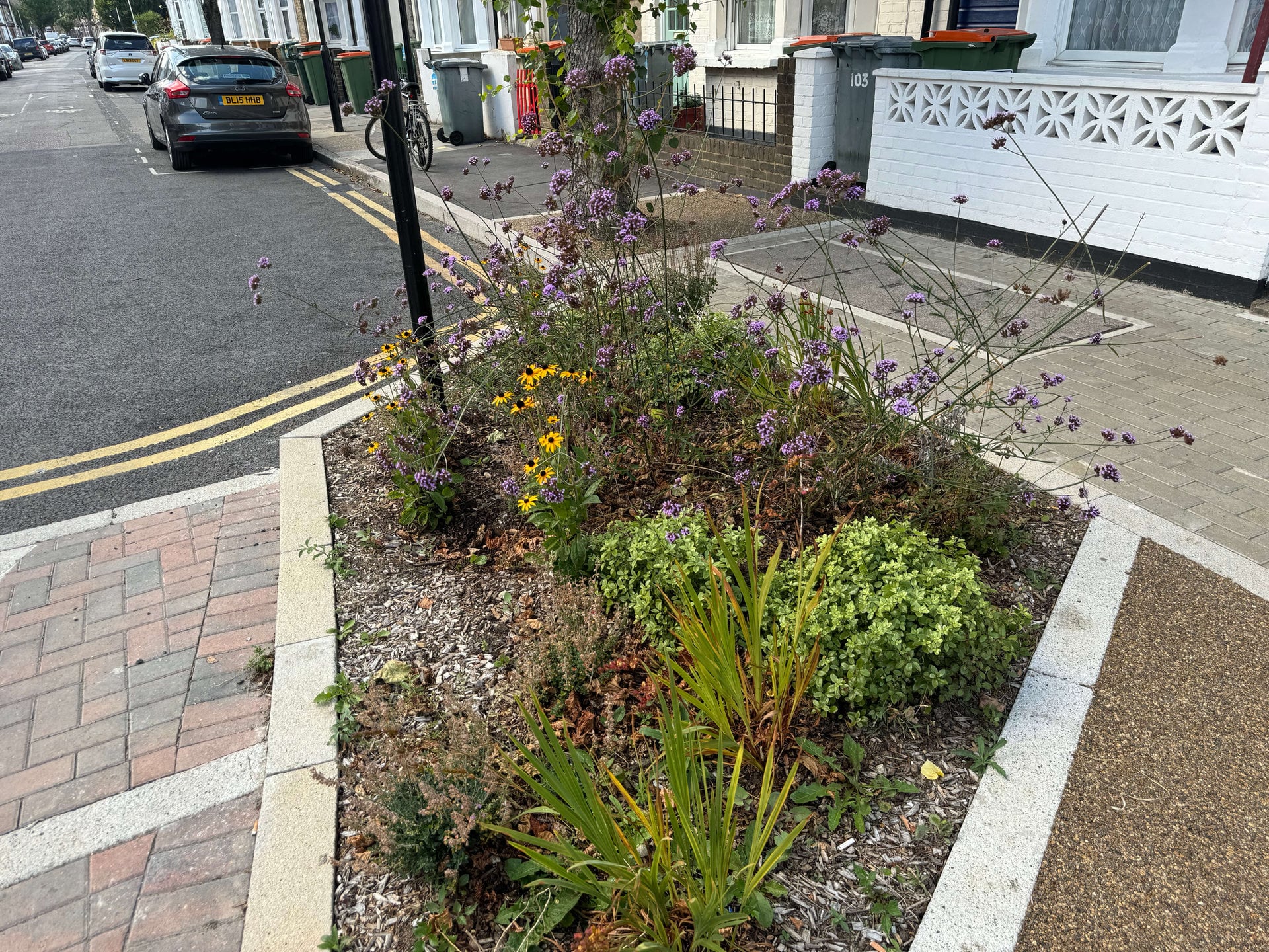 Keogh Road Rain Gardens