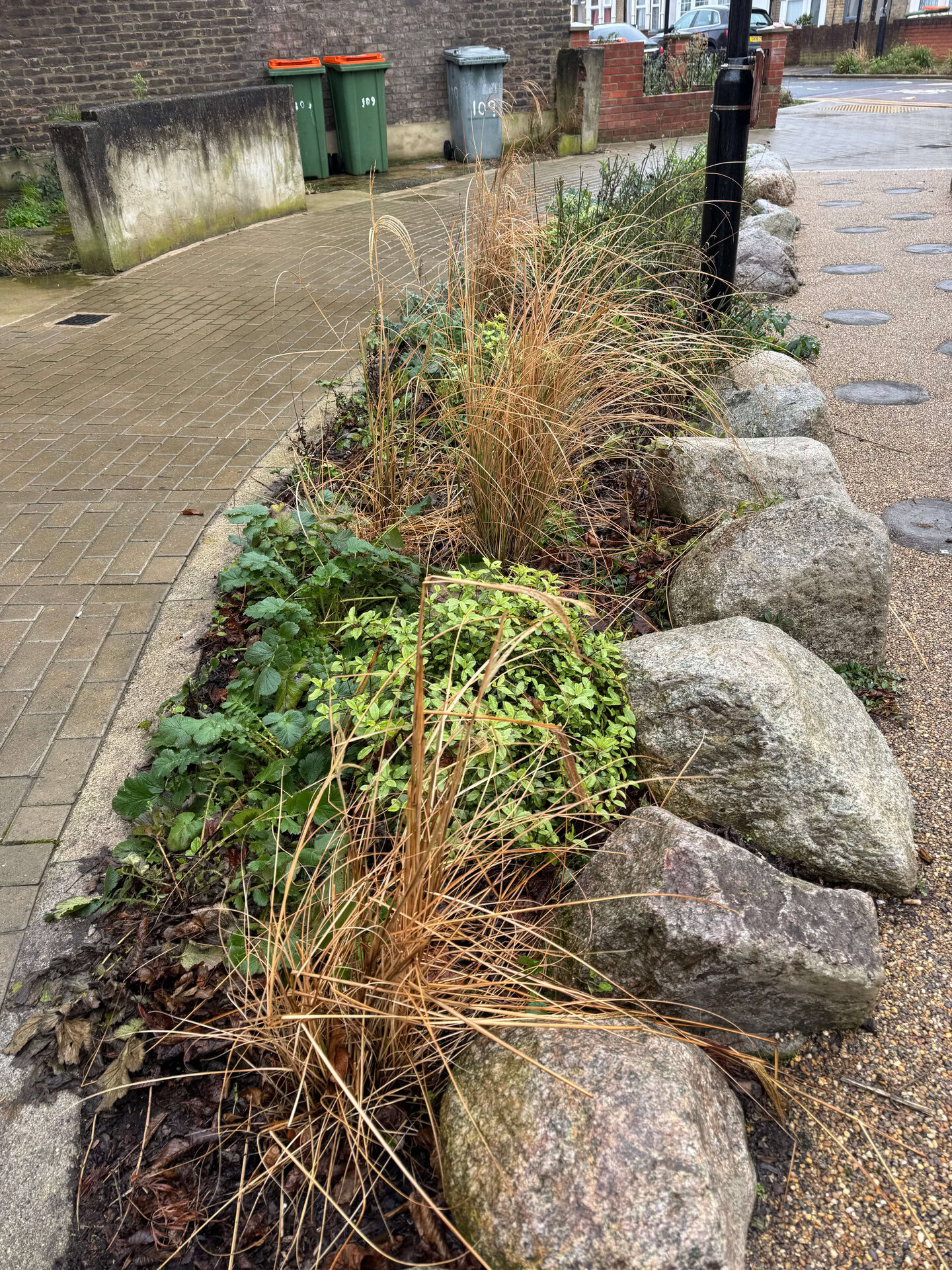 Keogh Road Rain Gardens