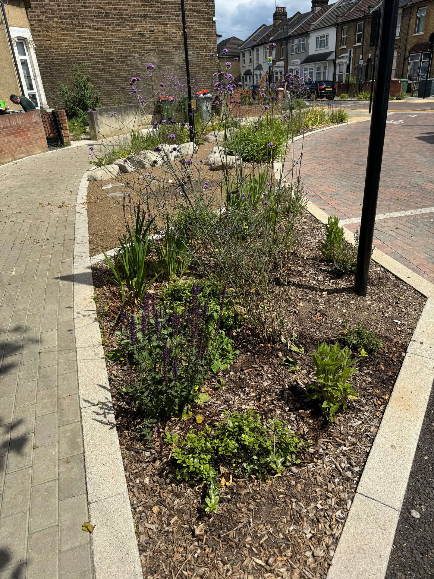 Keogh Road Rain Gardens