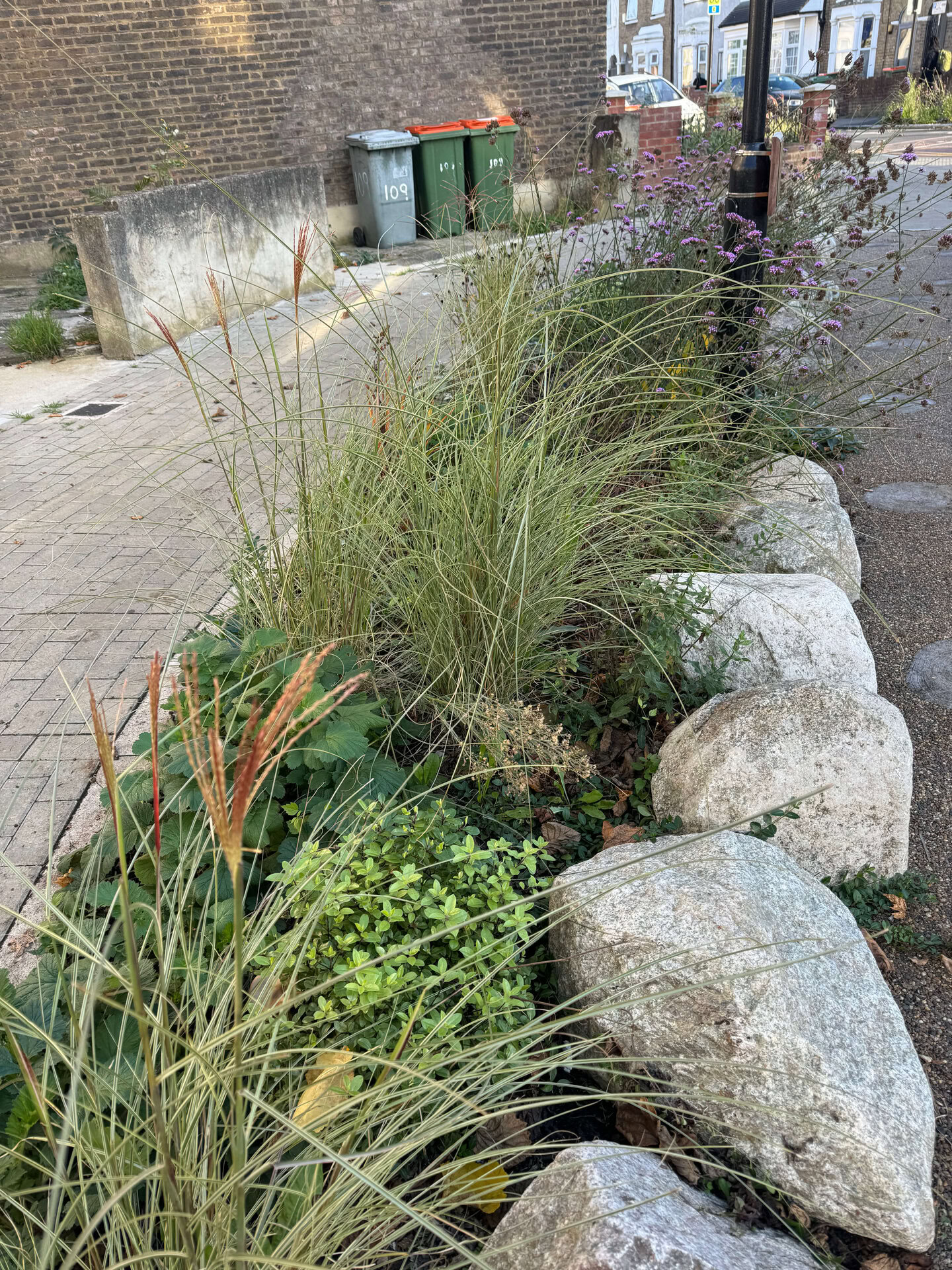 Keogh Road Rain Gardens
