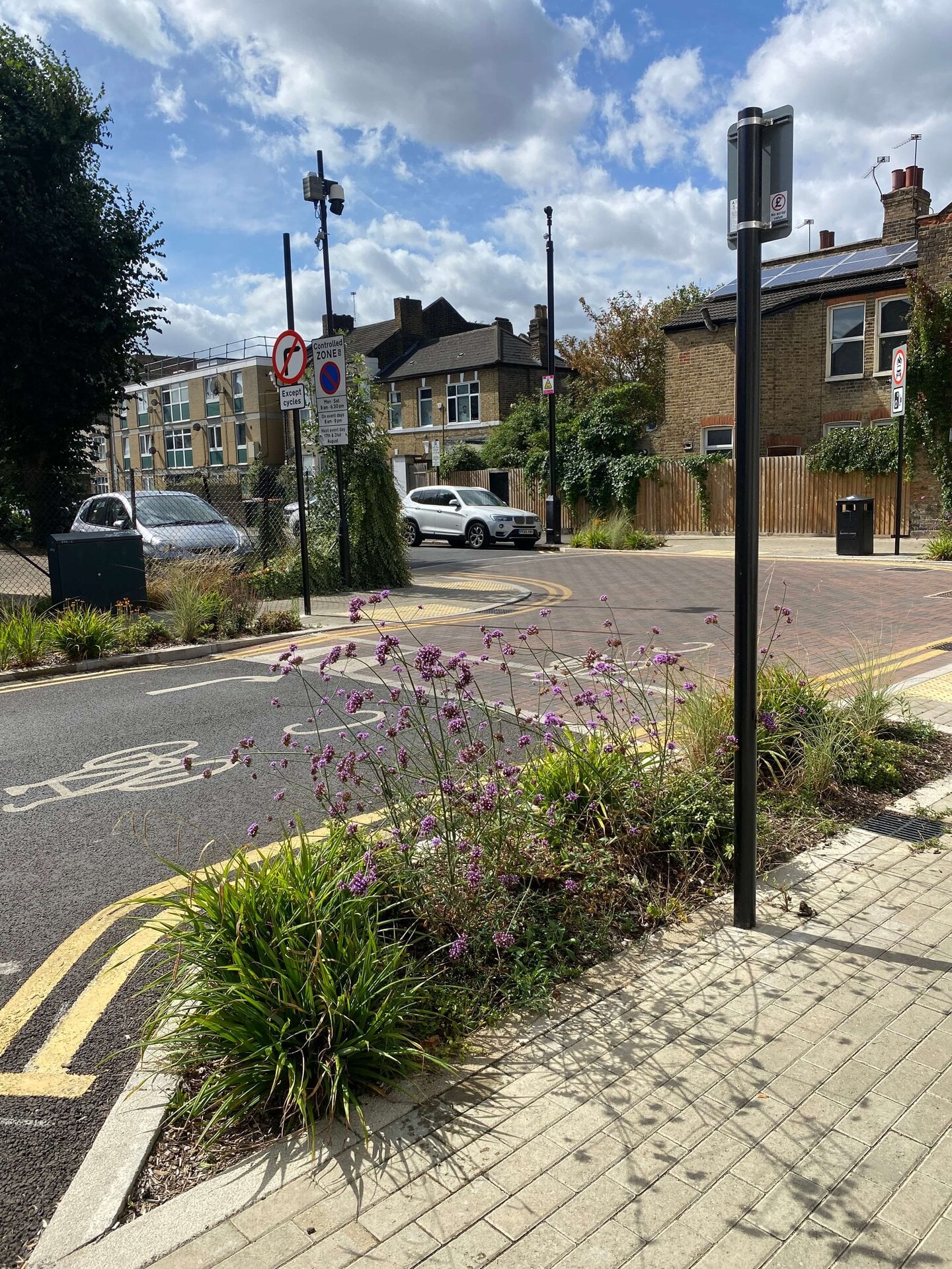 Rain Gardens