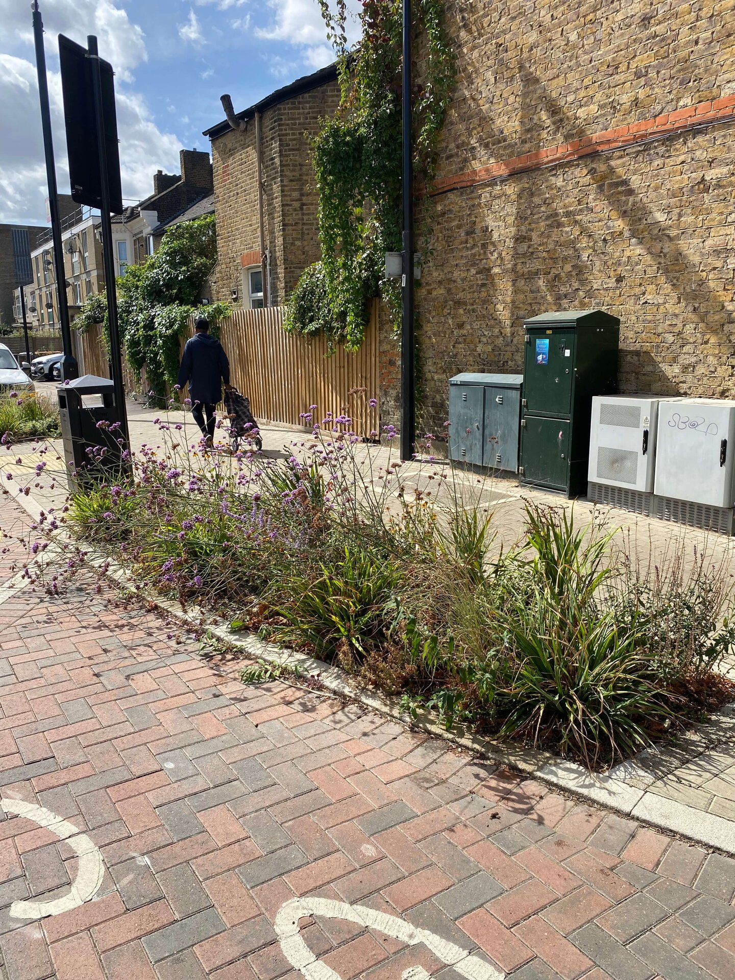 Keogh Road Rain Gardens