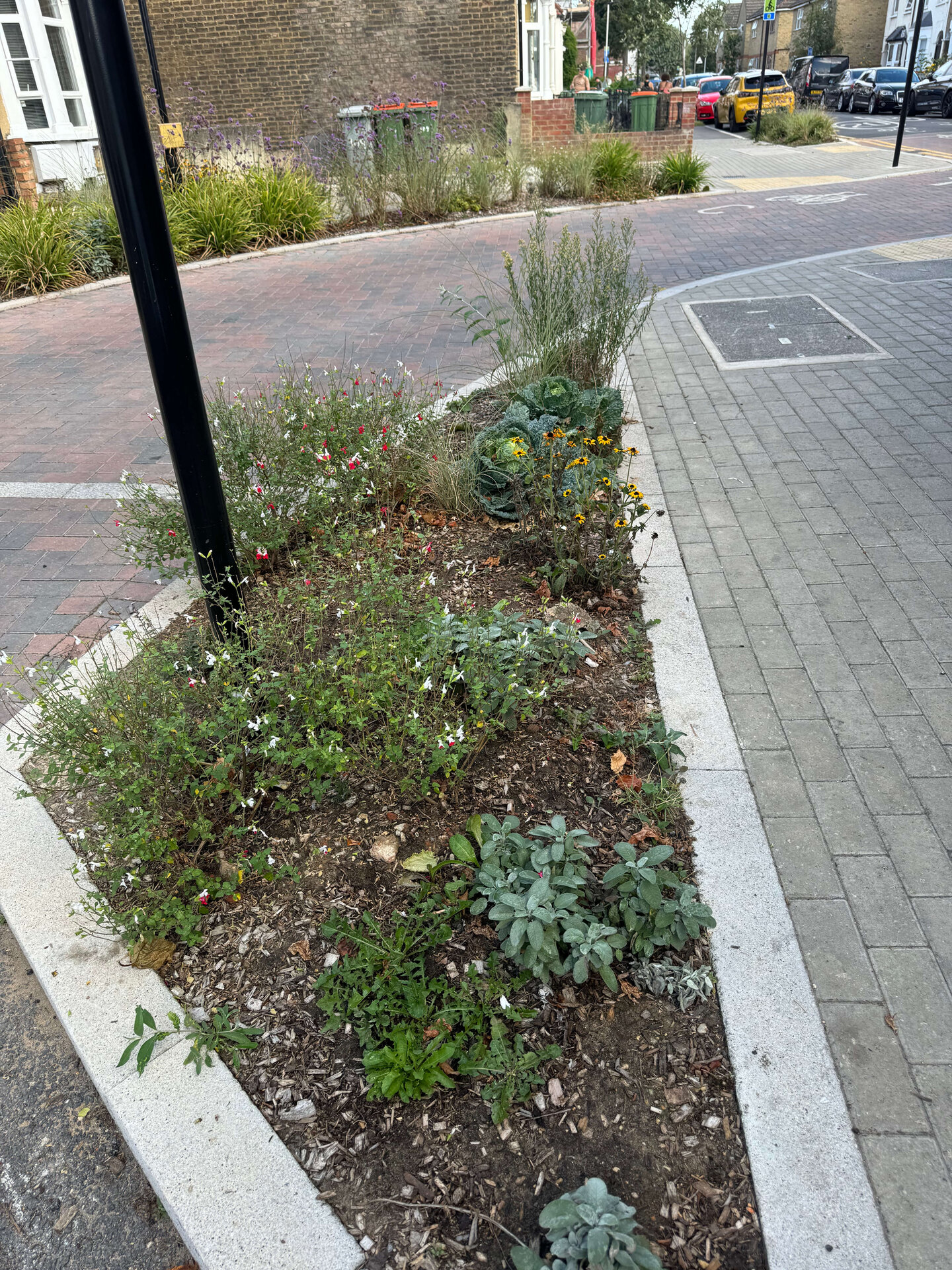 Keogh Road Rain Gardens