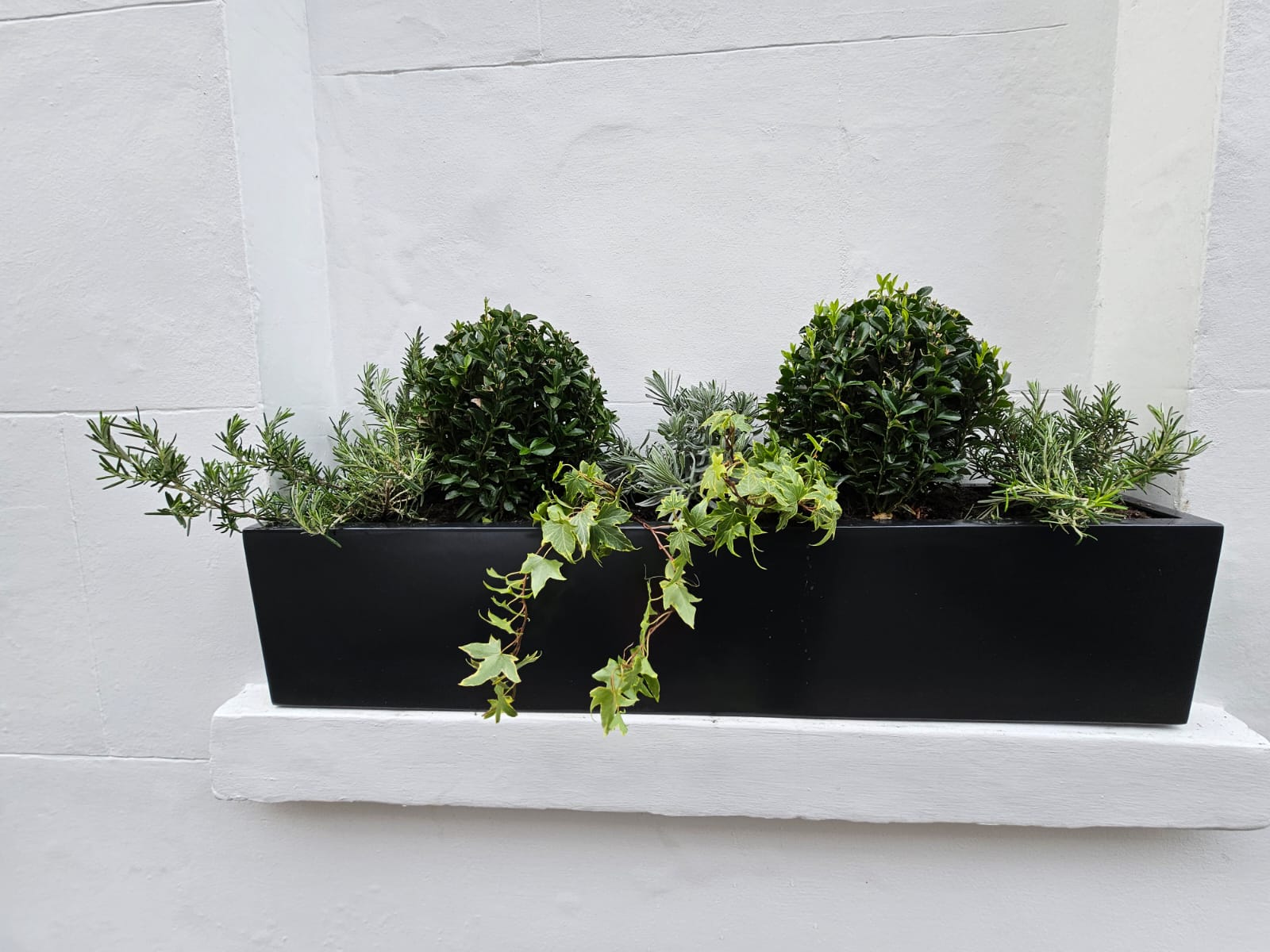 St Luke’s Street Residential Greening