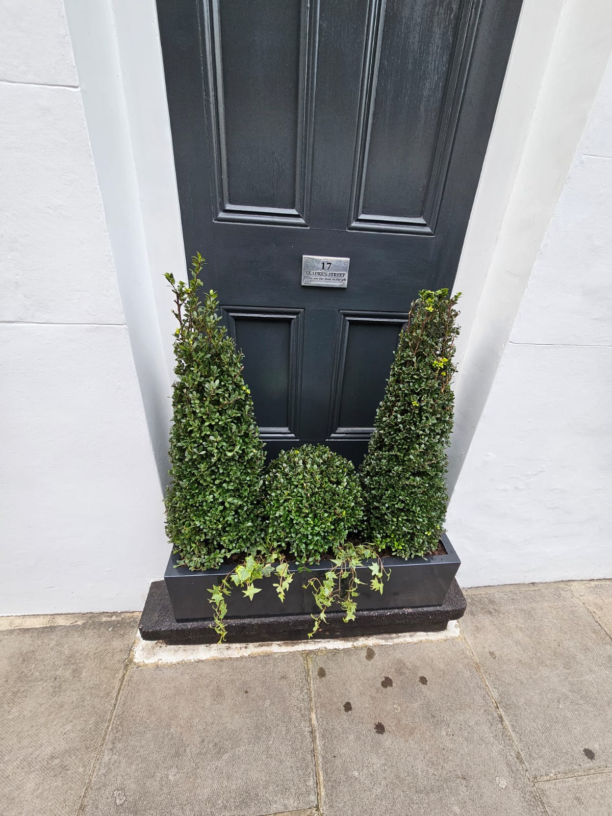 St Luke’s Street Residential Greening