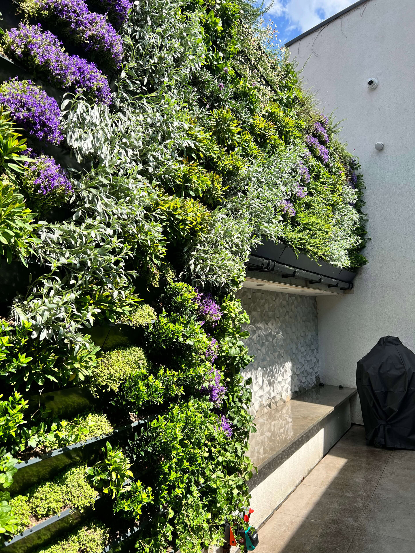 Islington Residential Living Wall