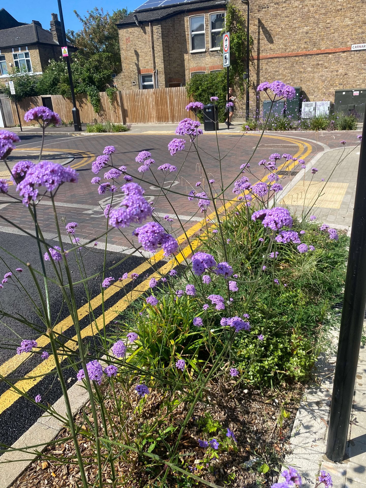 Keogh Road Rain Gardens