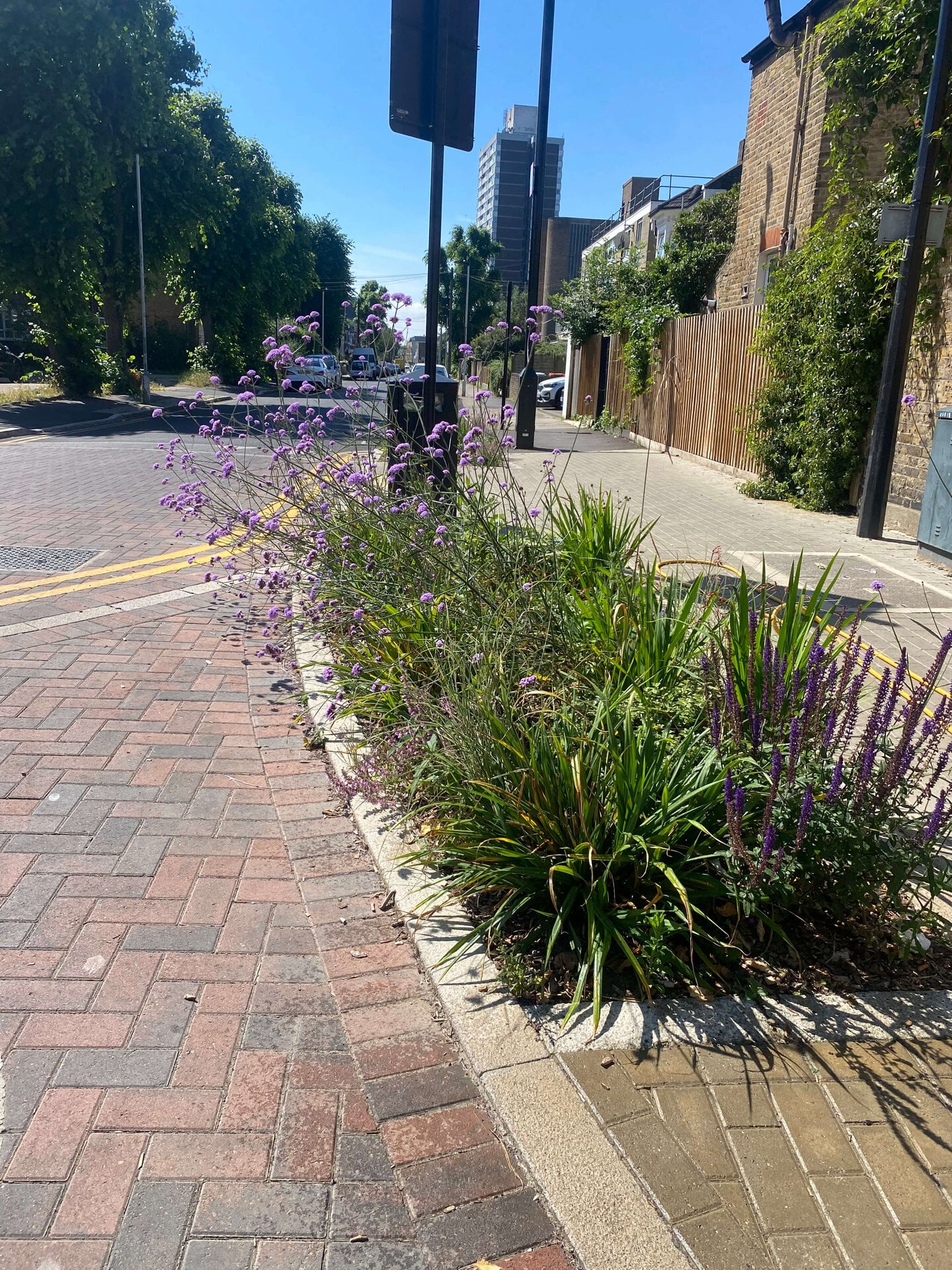 Keogh Road Rain Gardens