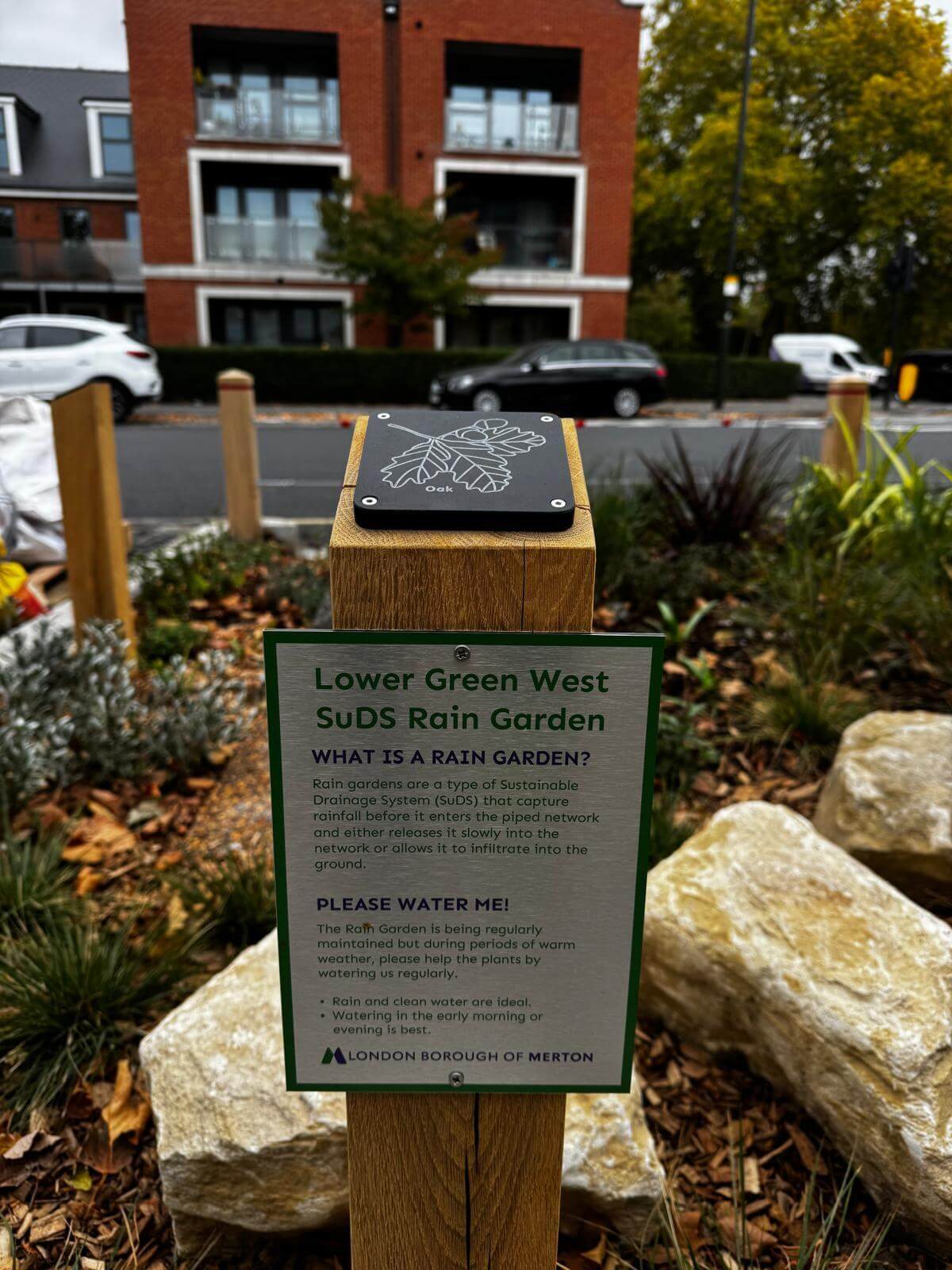 Lower Green West Rain Garden