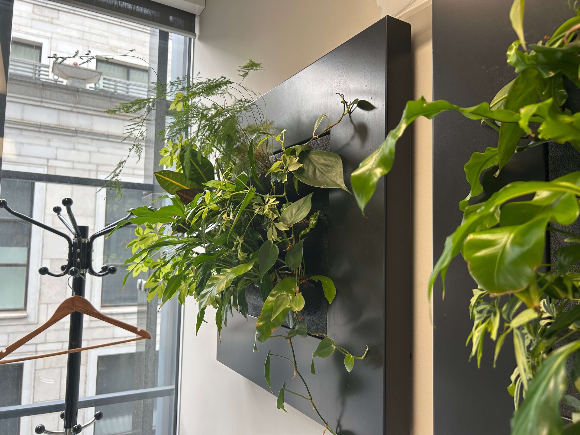 Simon Kucher Office Planting