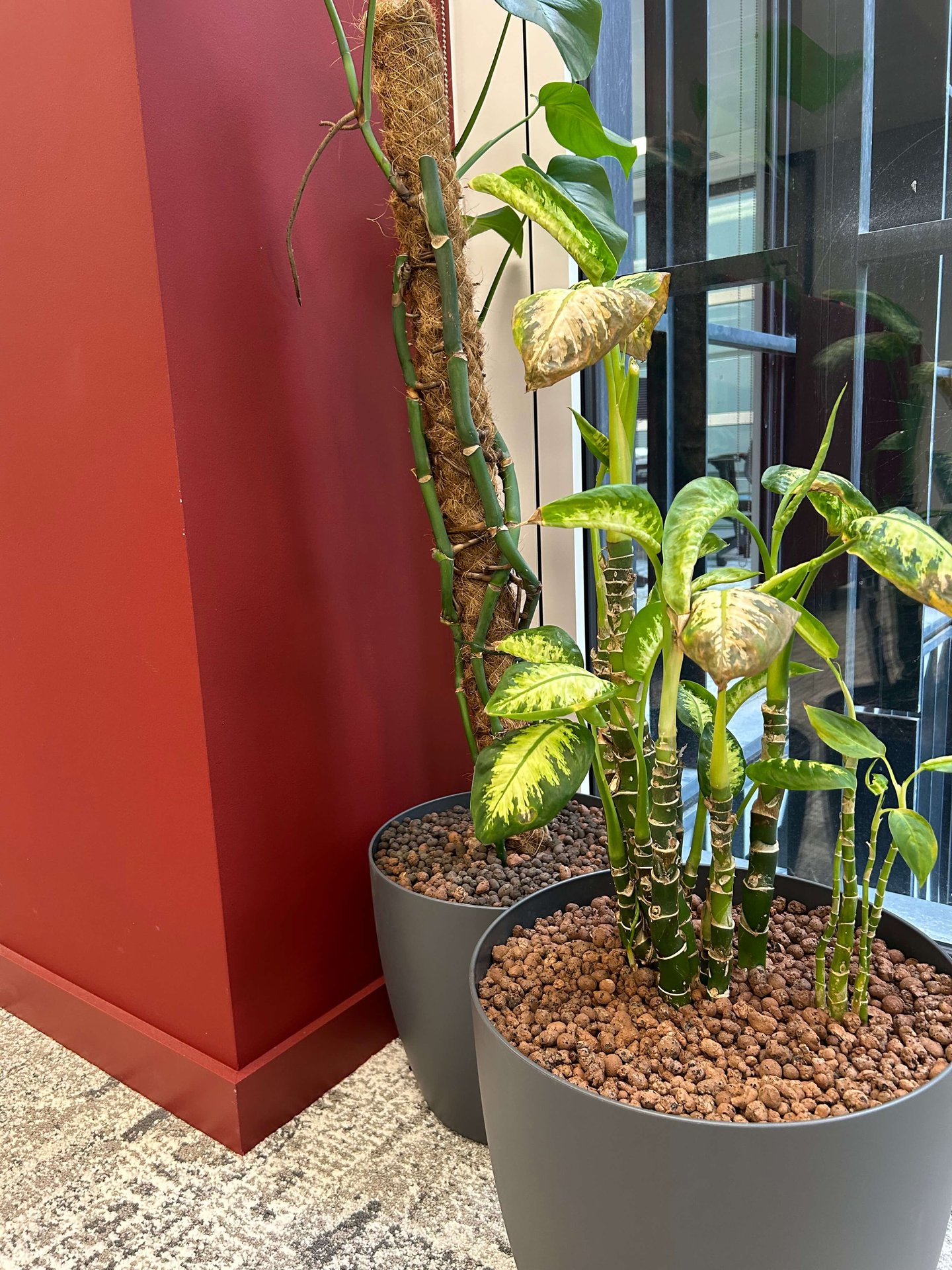 Simon Kucher Office Planting