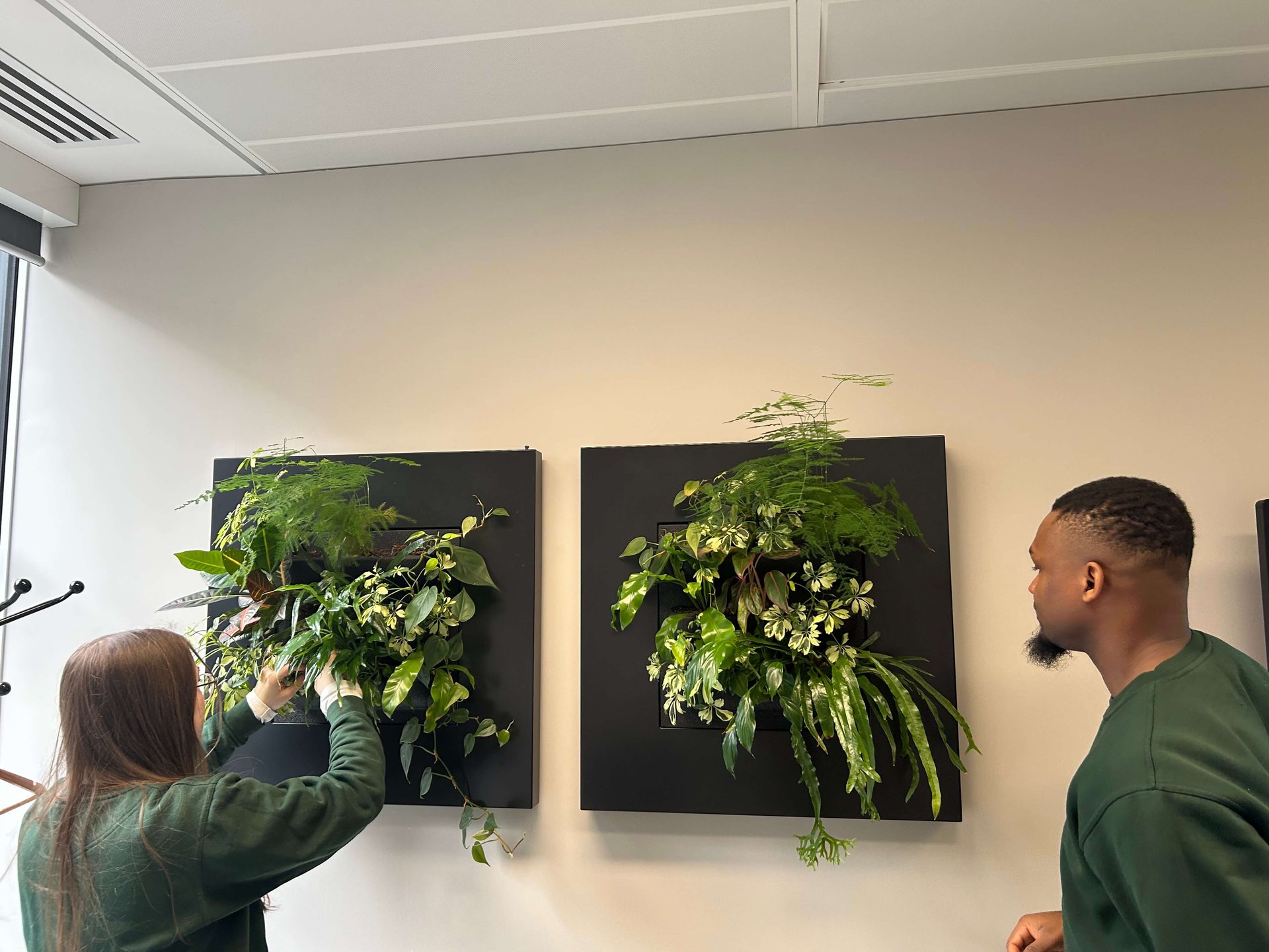 Simon Kucher Office Planting