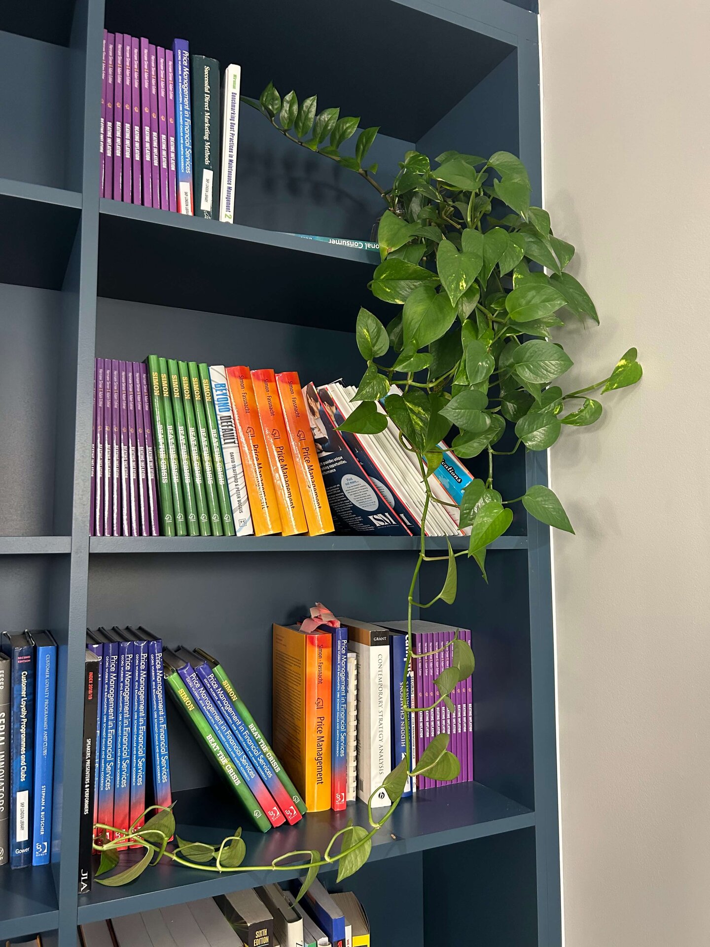 Simon Kucher Office Planting