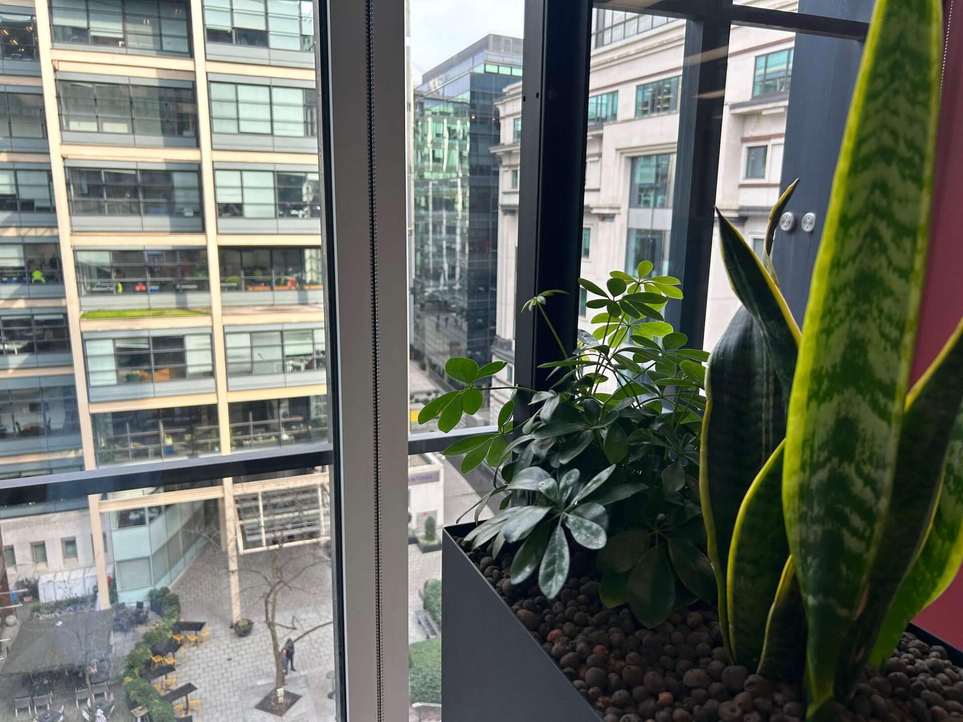Simon Kucher Office Planting