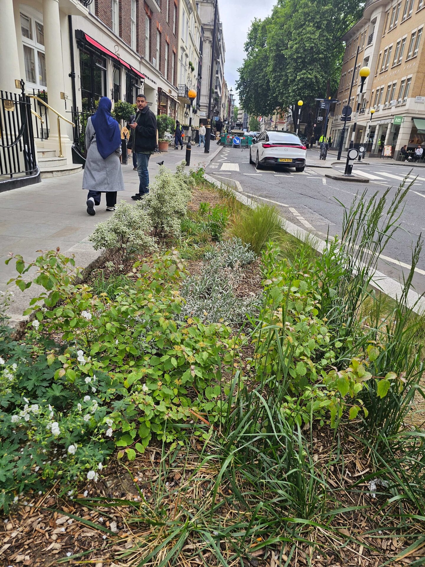 Rain Gardens