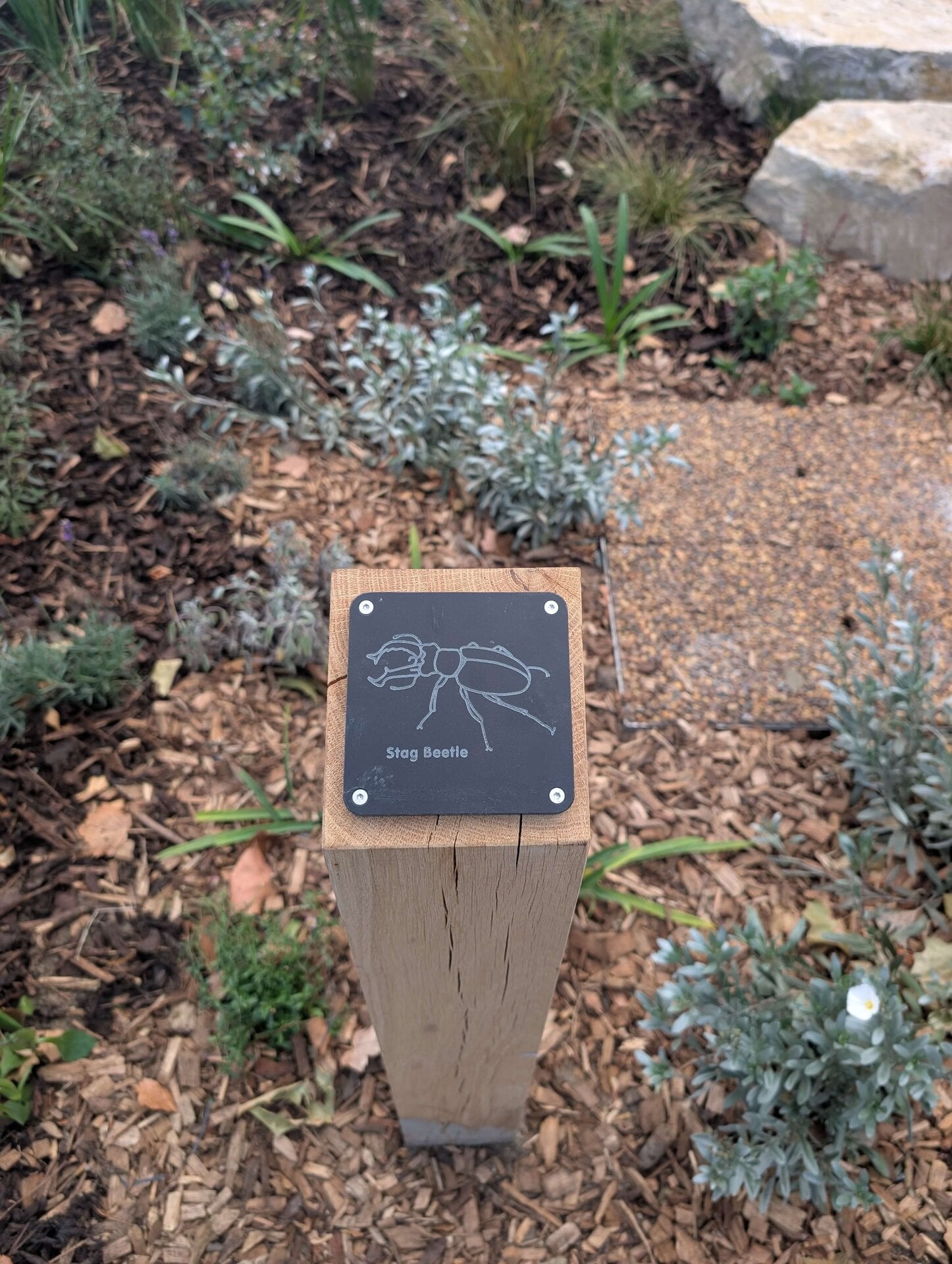 Lower Green West Rain Garden