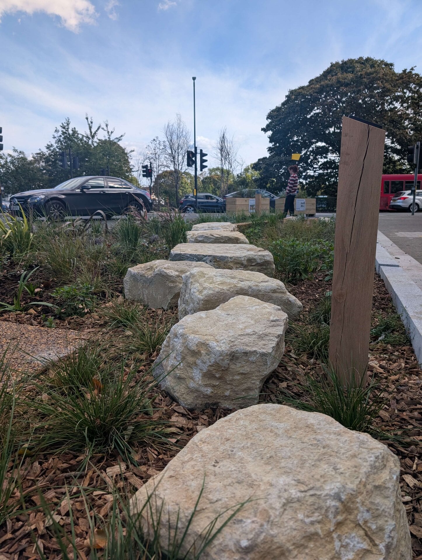 Lower Green West Rain Garden