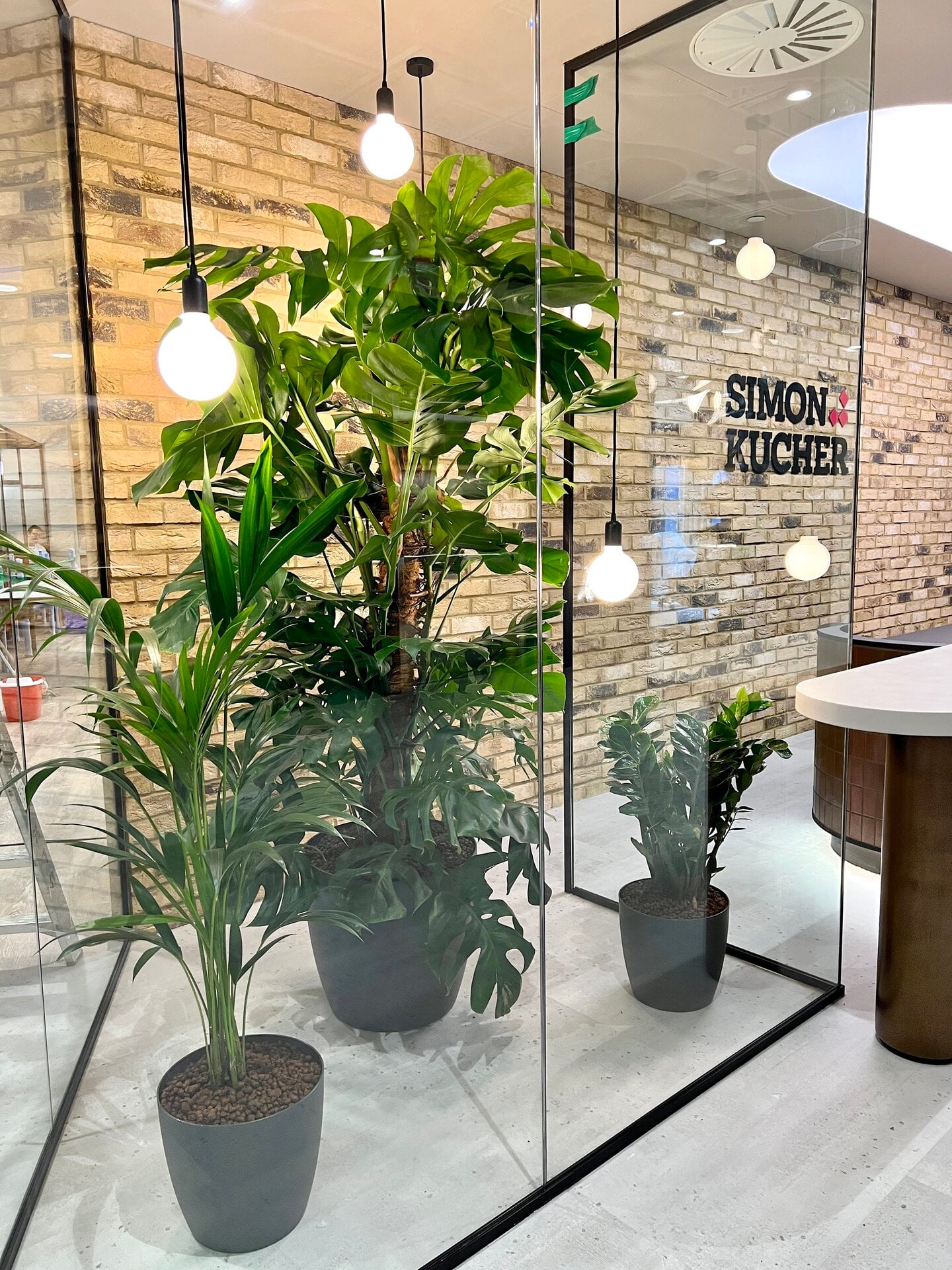 Simon Kucher Office Planting