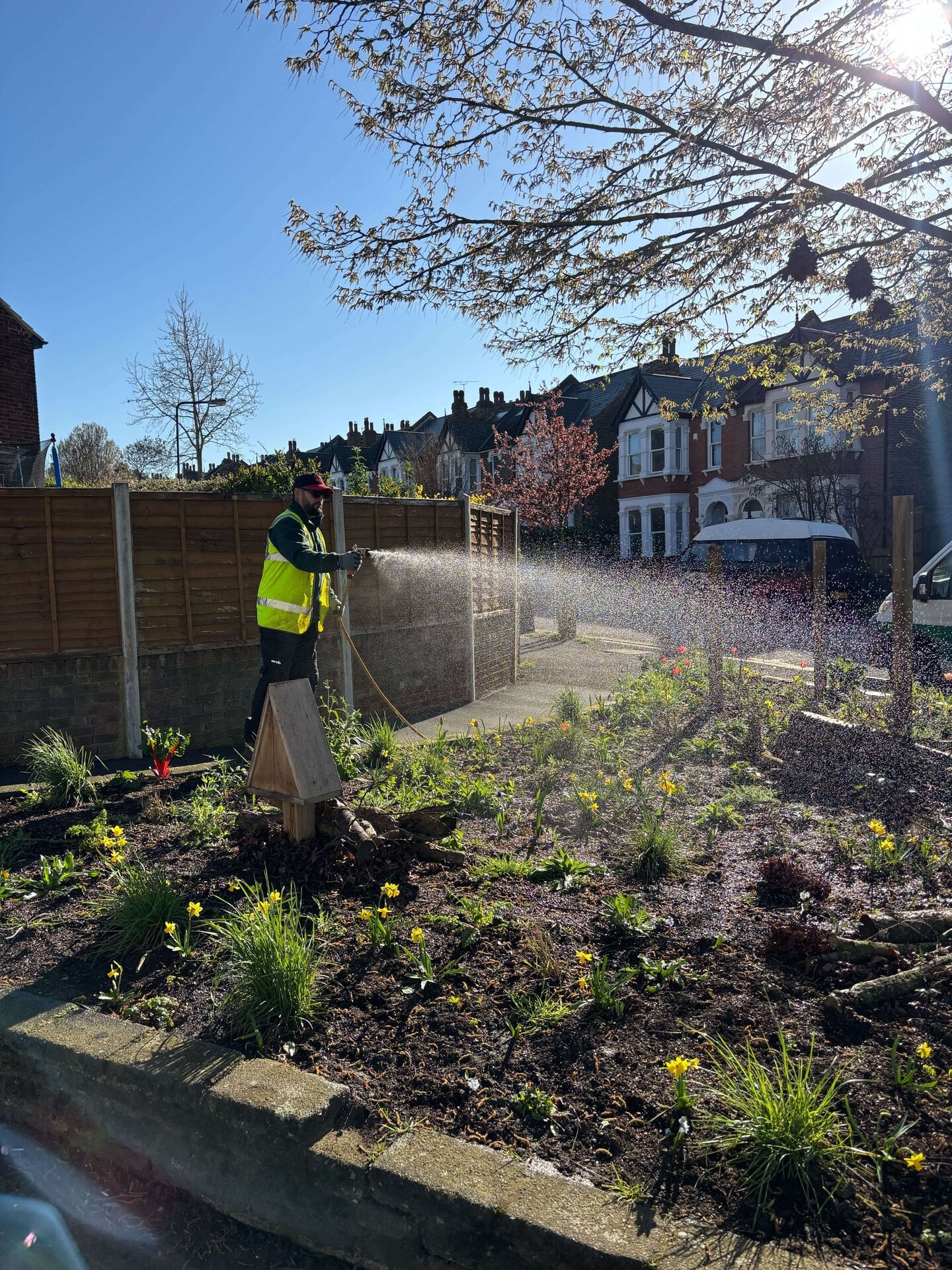 Upper Walthamstow Road Rain Gardens