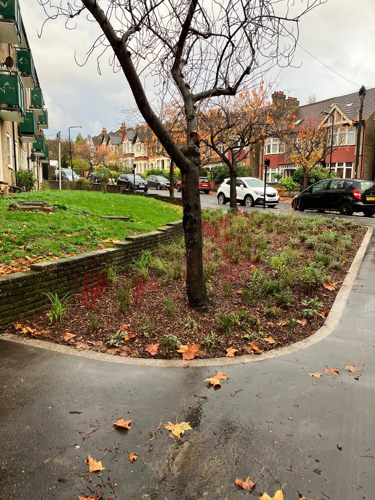Upper Walthamstow Road Rain Gardens