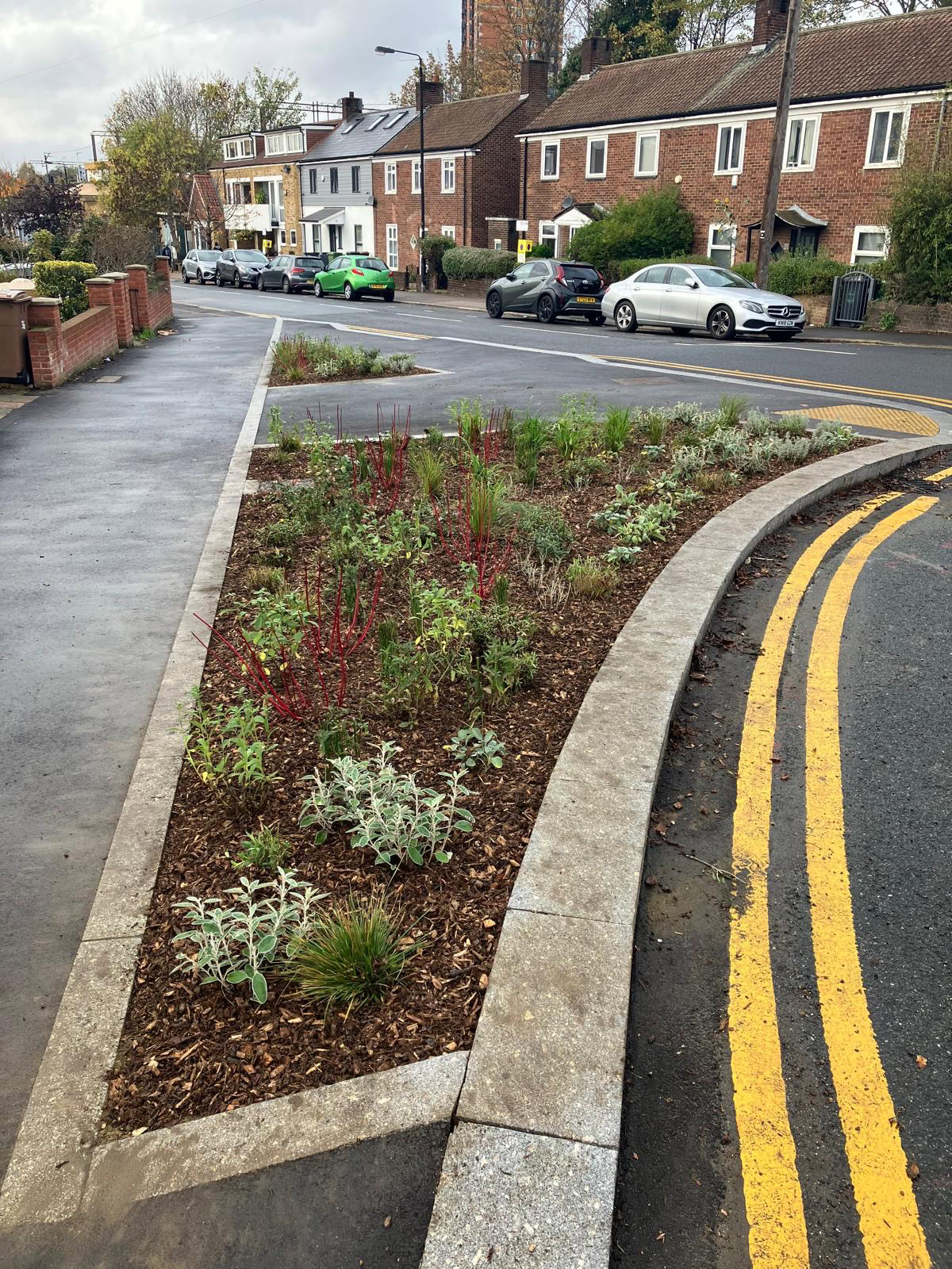 Upper Walthamstow Road Rain Gardens