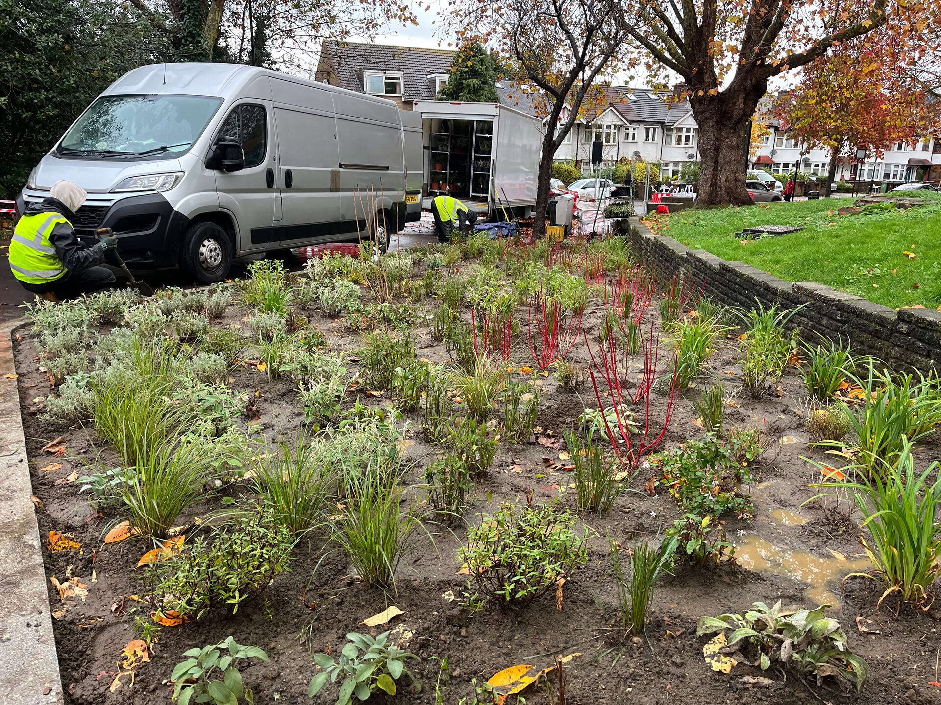 Upper Walthamstow Road Rain Gardens