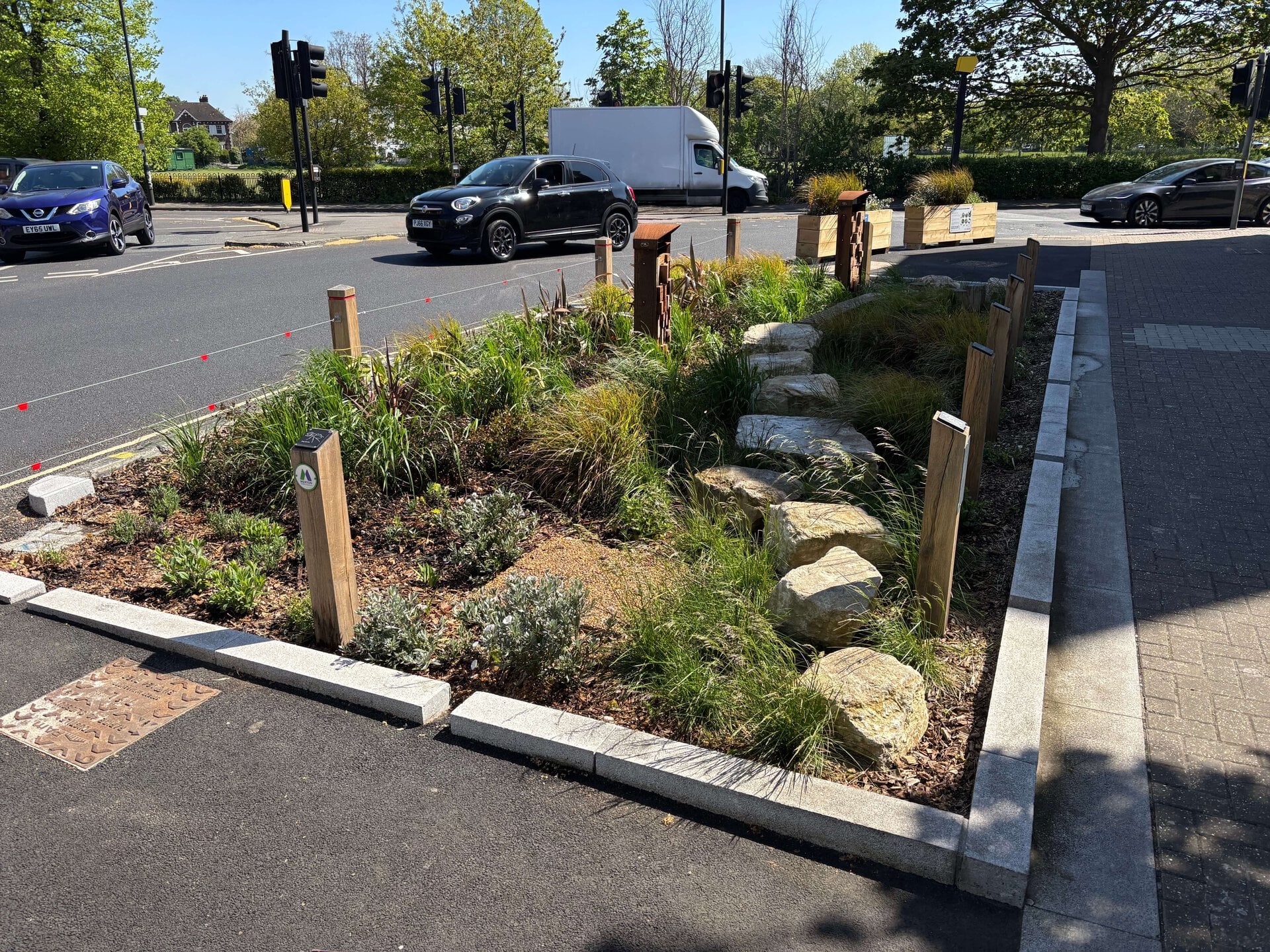 Lower Green West Rain Garden