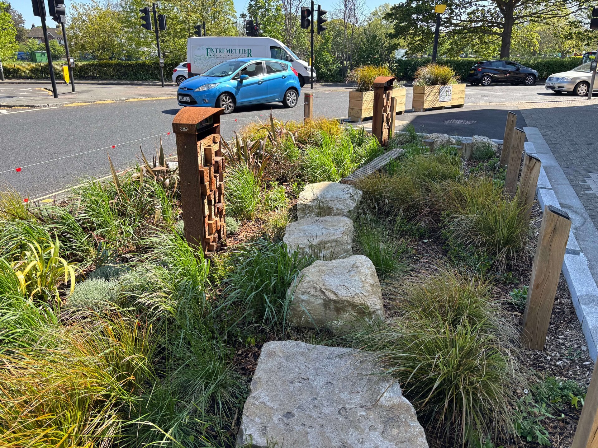 Lower Green West Rain Garden