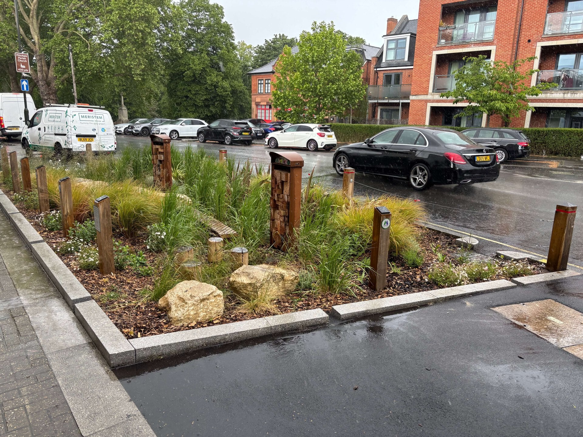 Lower Green West Rain Garden