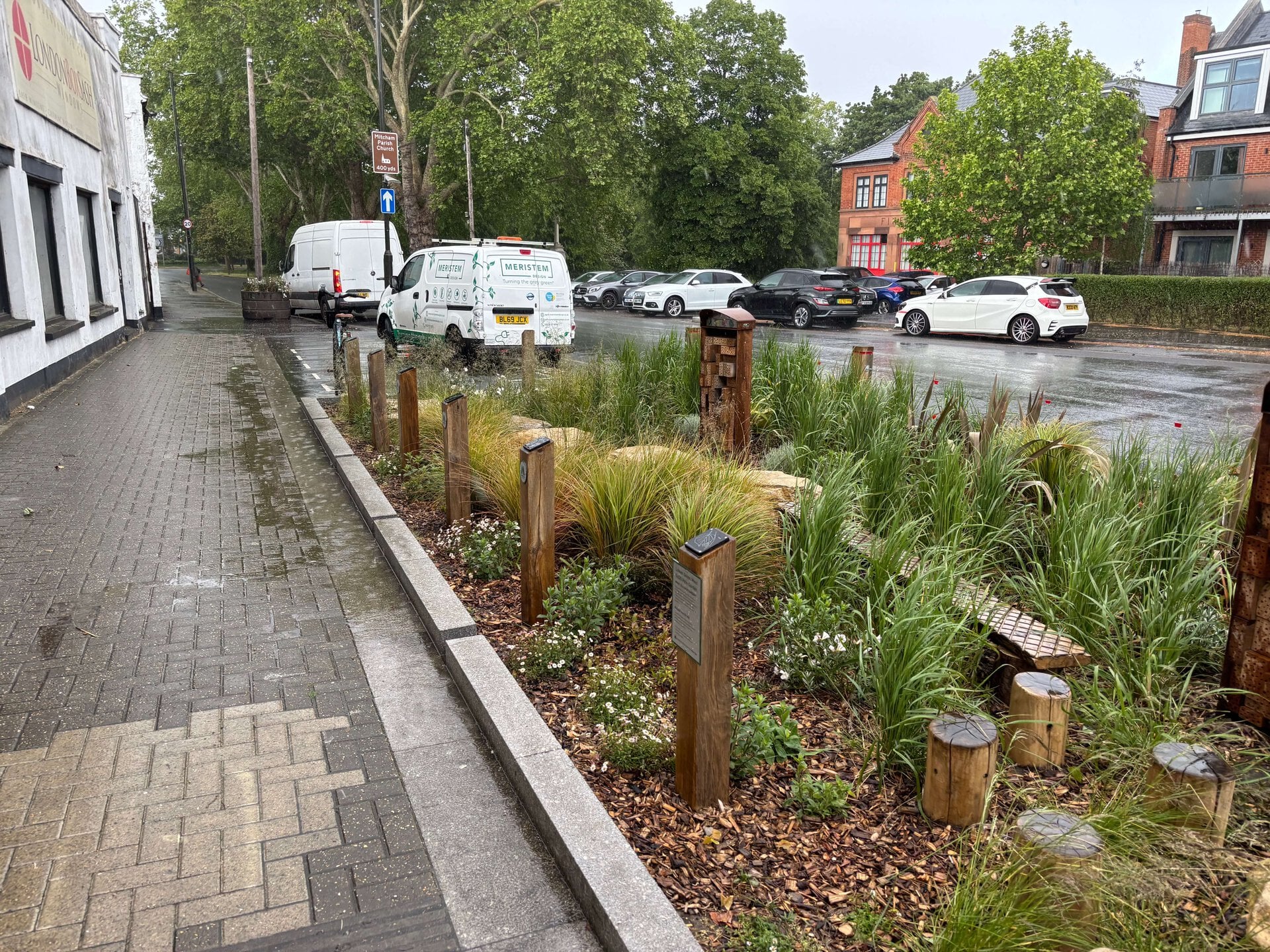 Lower Green West Rain Garden