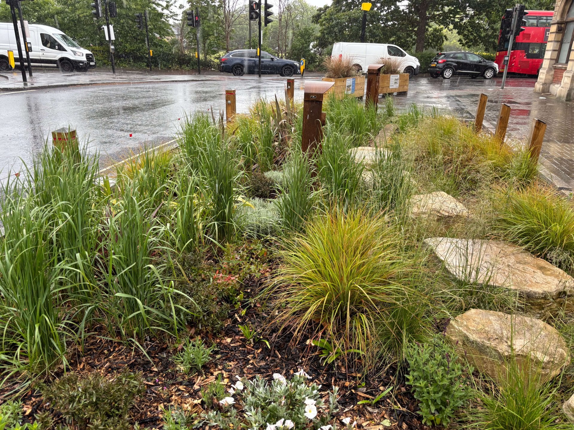 Lower Green West Rain Garden