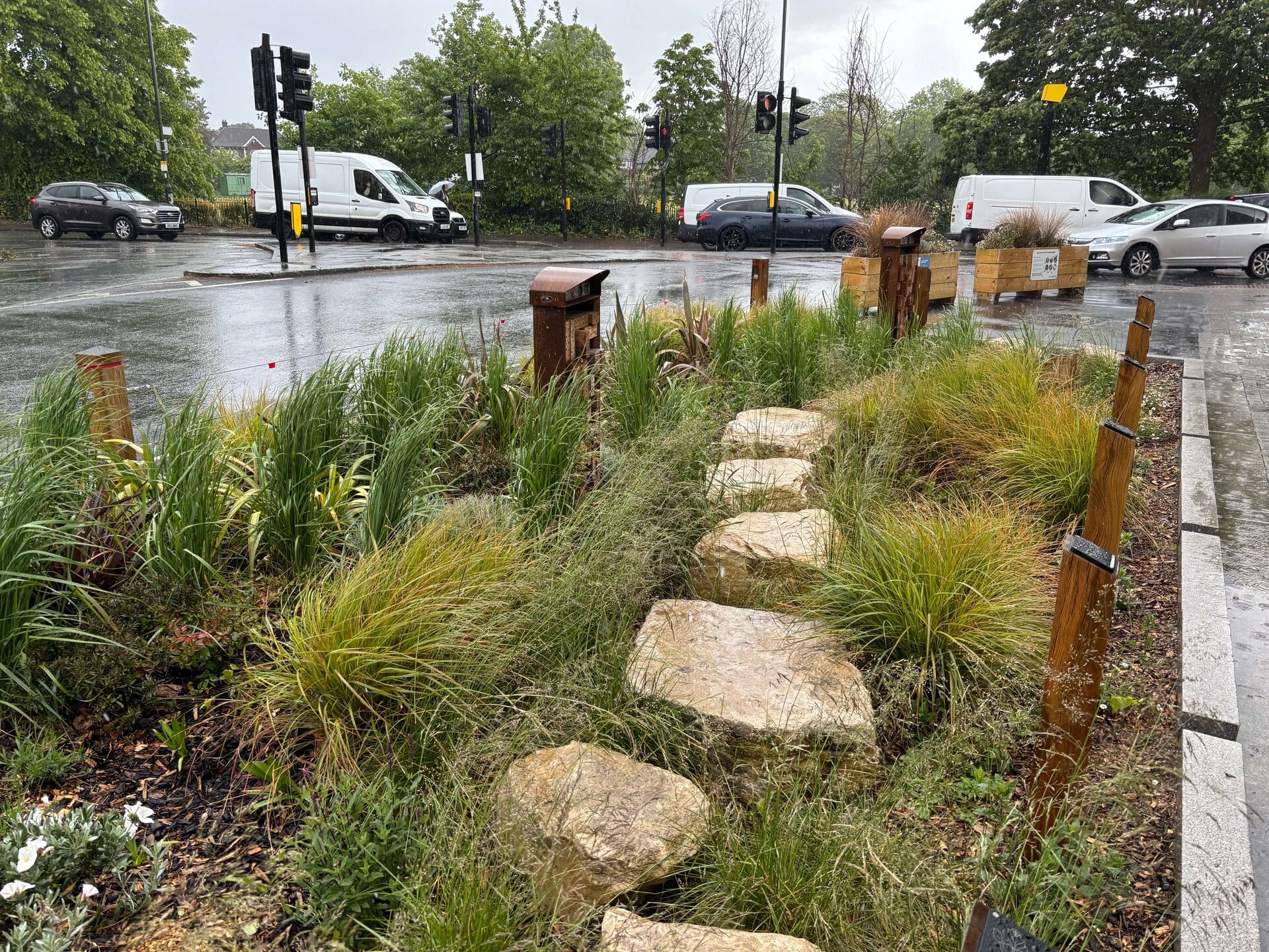 Lower Green West Rain Garden