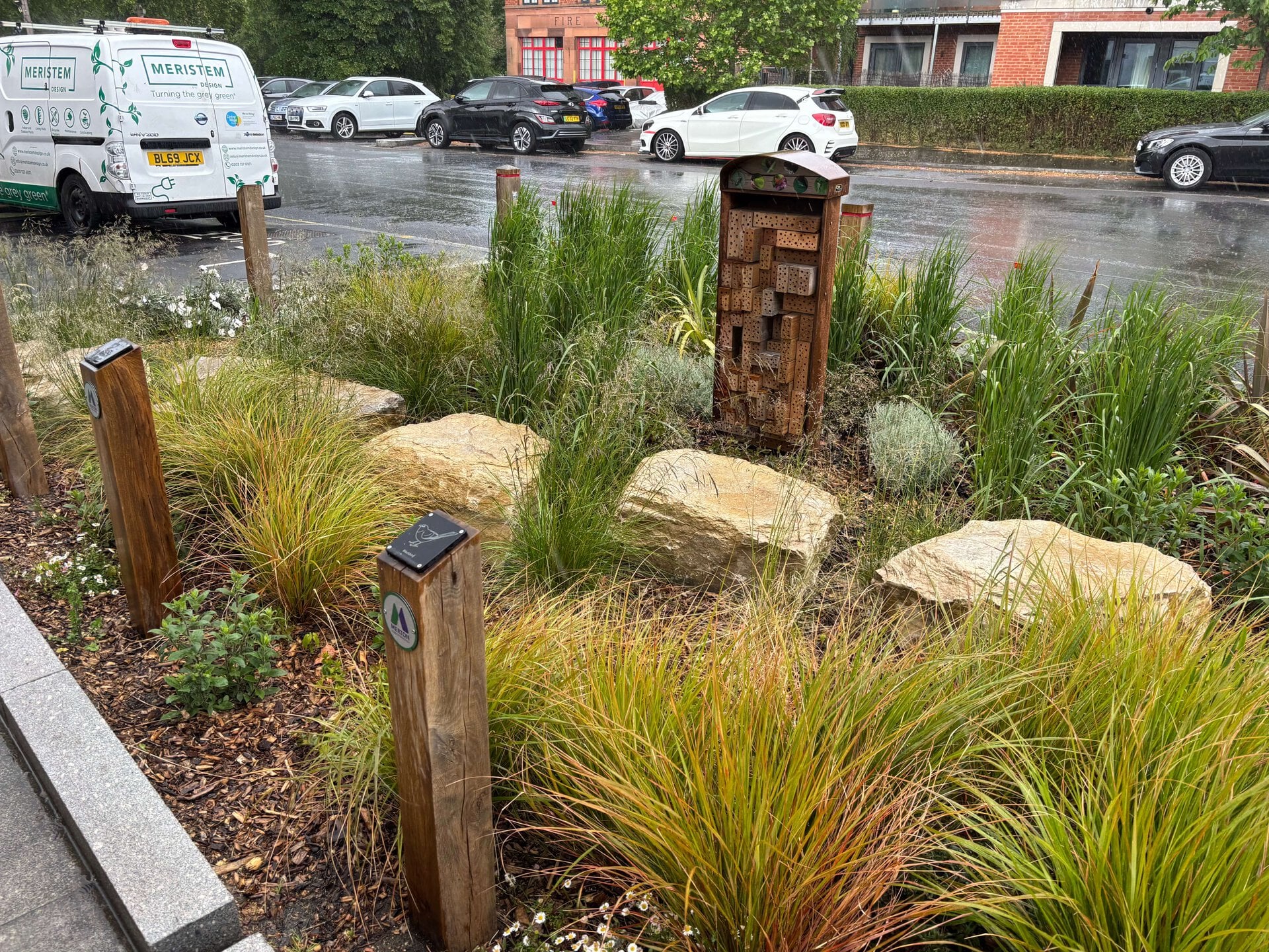 Lower Green West Rain Garden