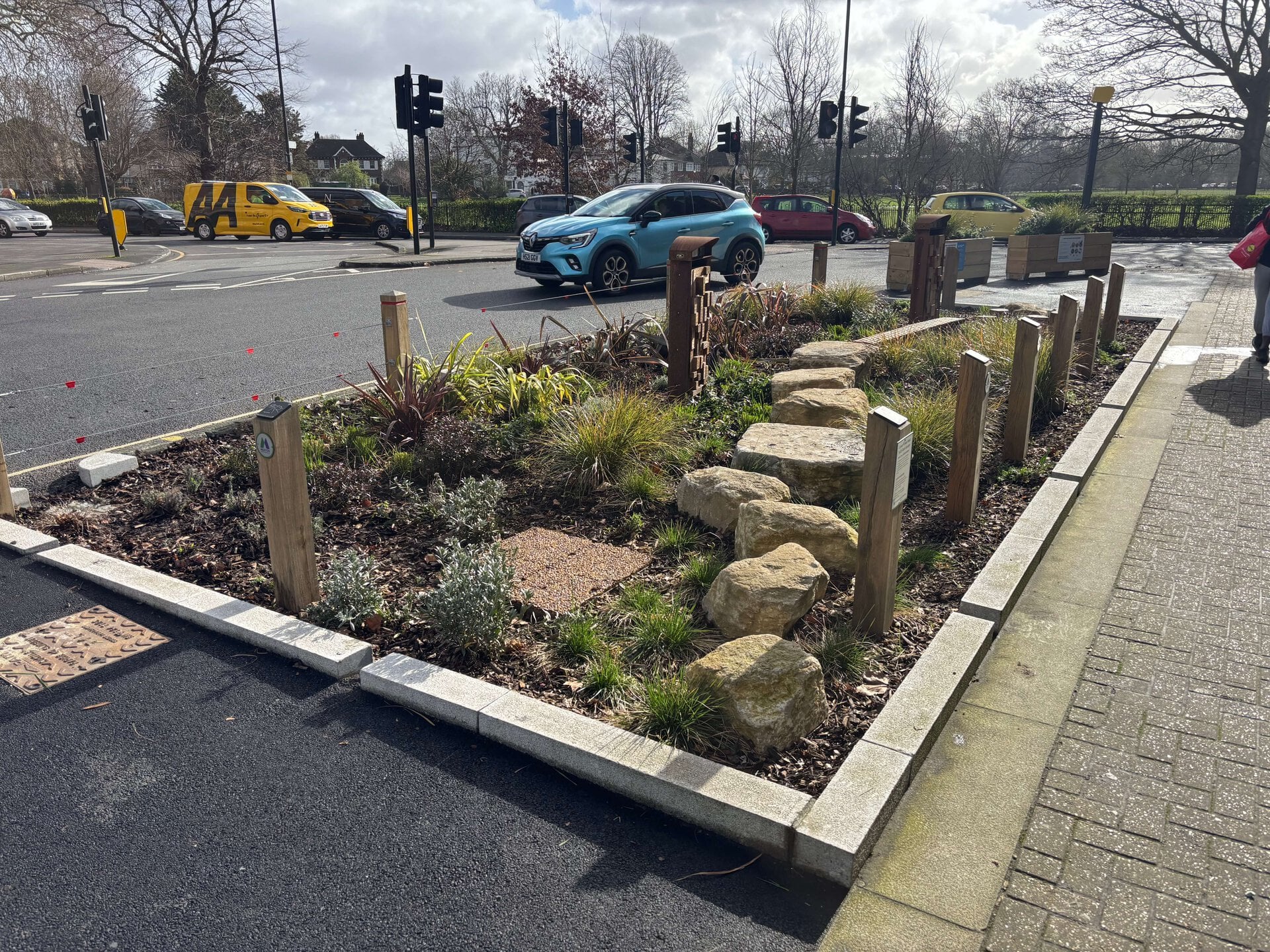 Lower Green West Rain Garden