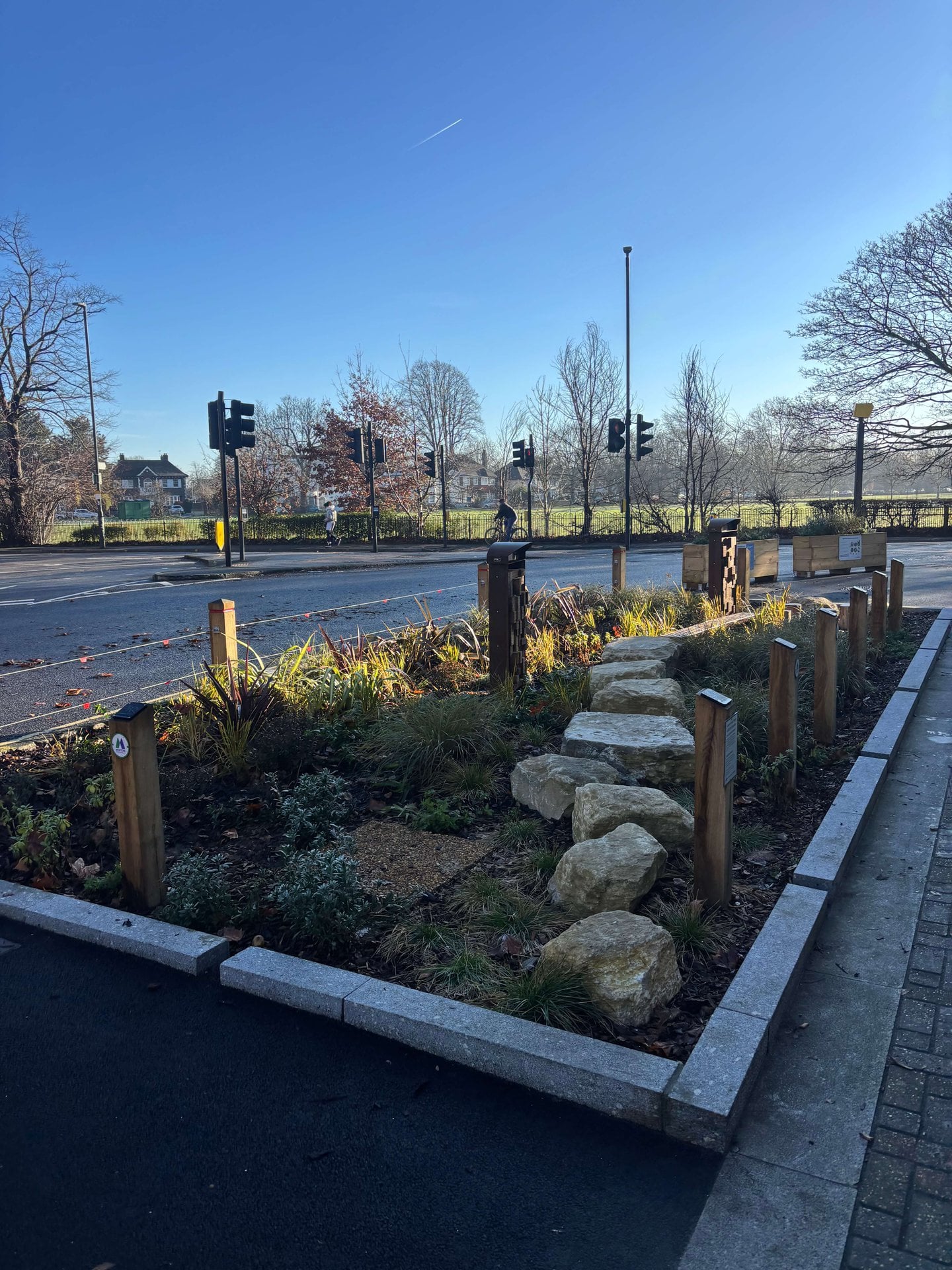 Rain Gardens