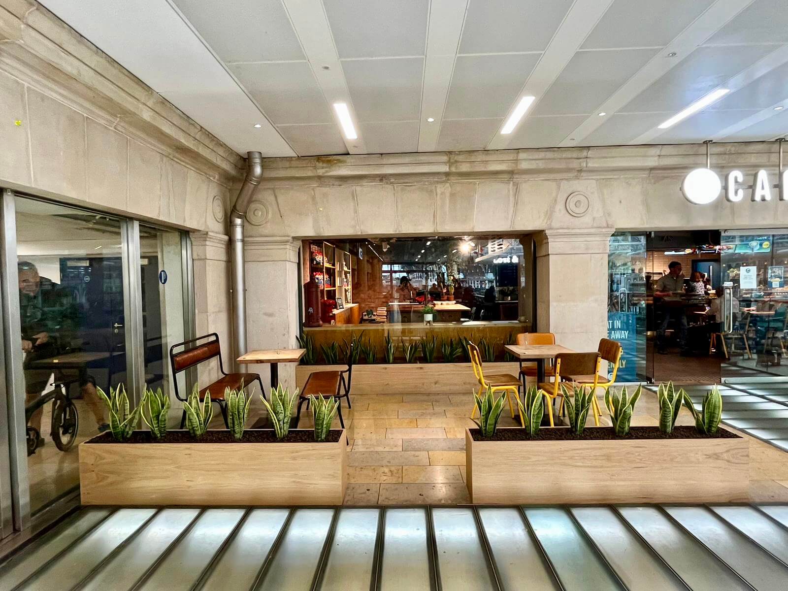 Paddington Cafe Living Wall