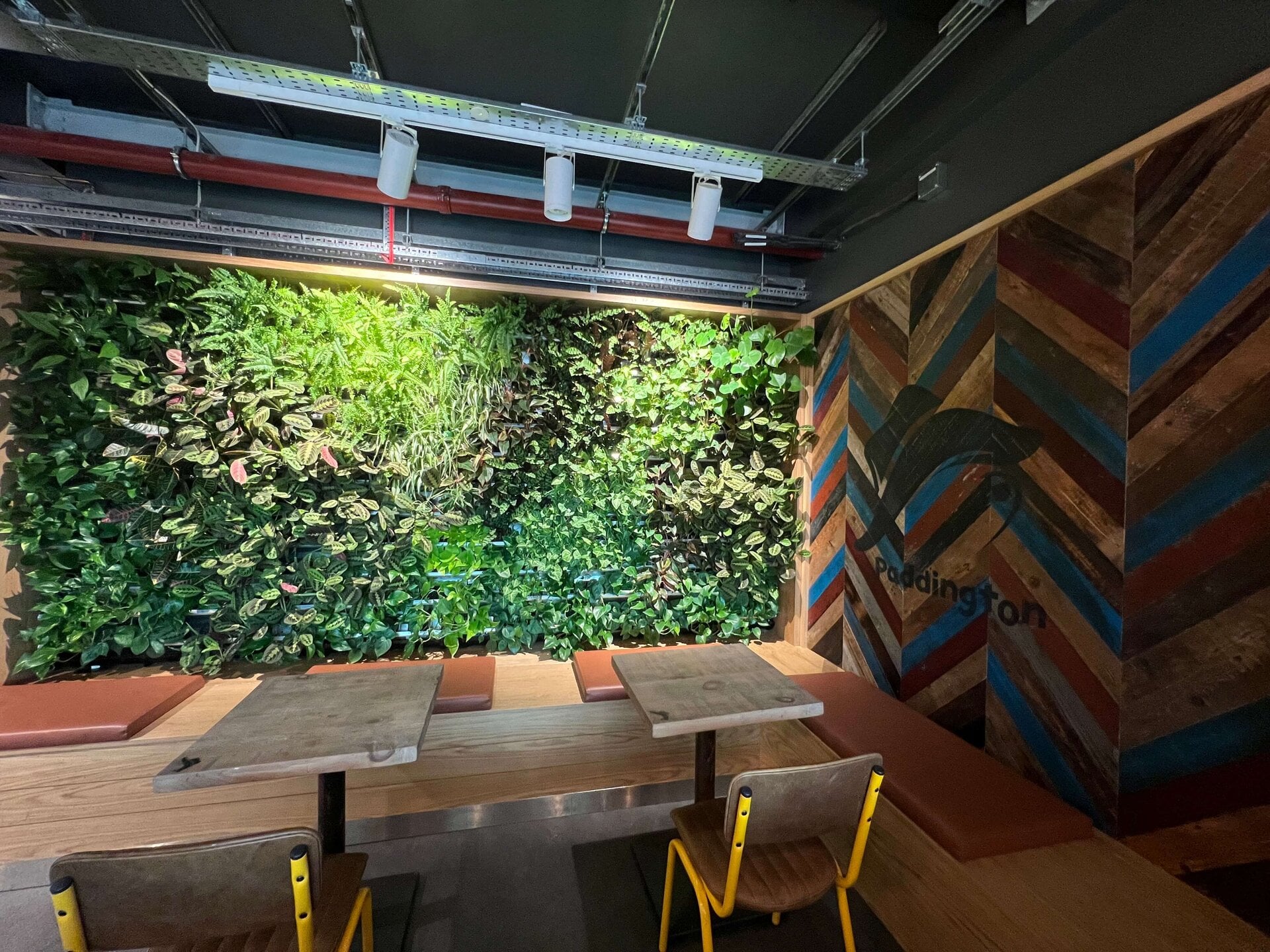 Paddington Cafe Living Wall