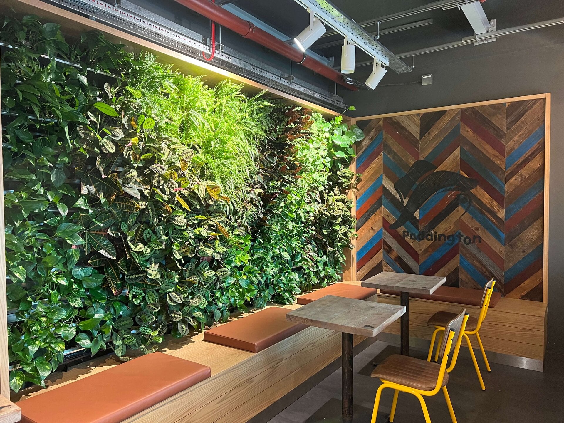 Paddington Cafe Living Wall