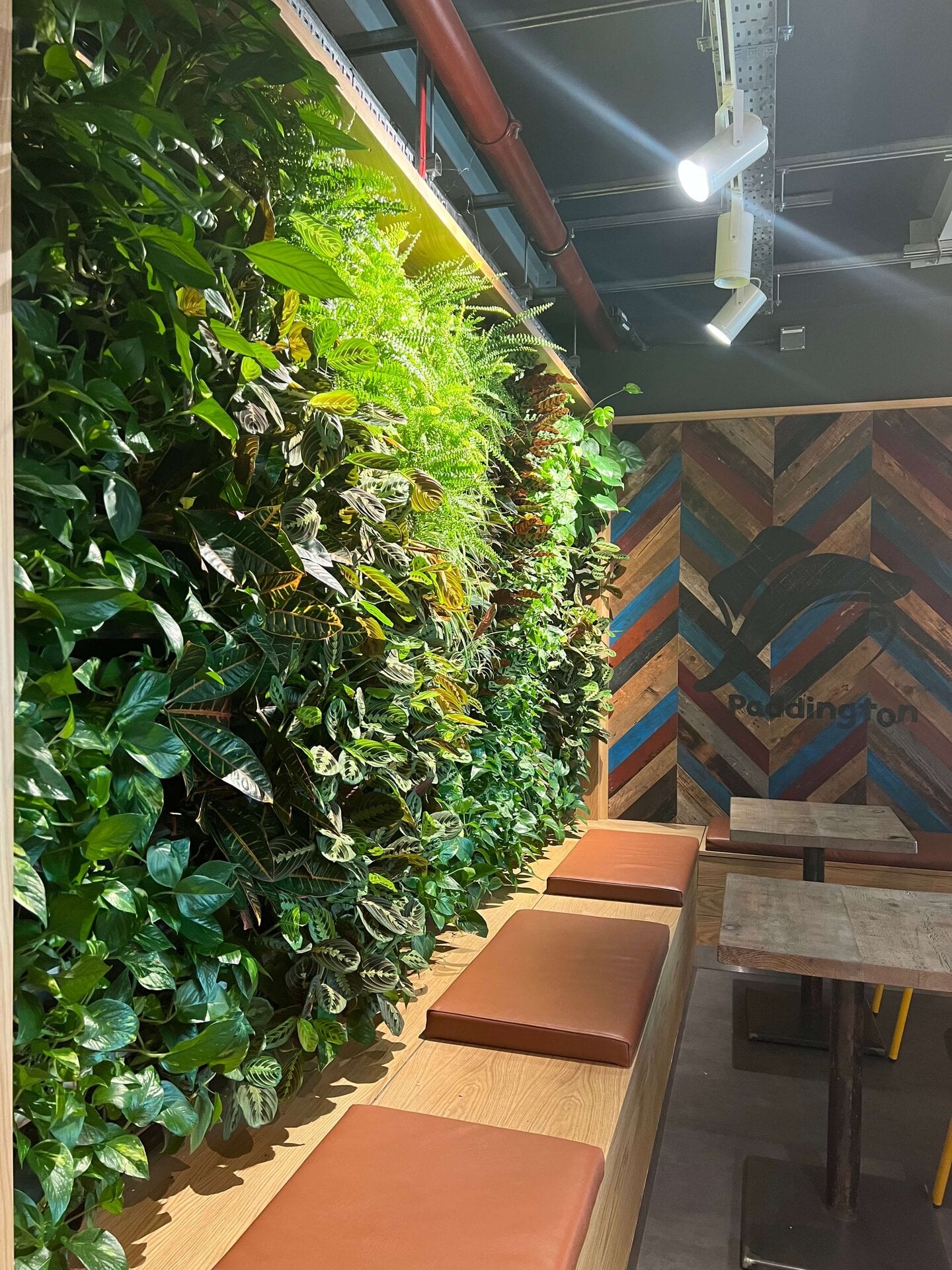 Paddington Cafe Living Wall