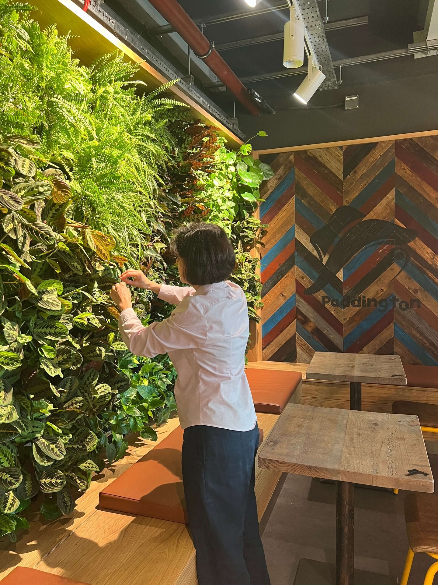 Paddington Cafe Living Wall
