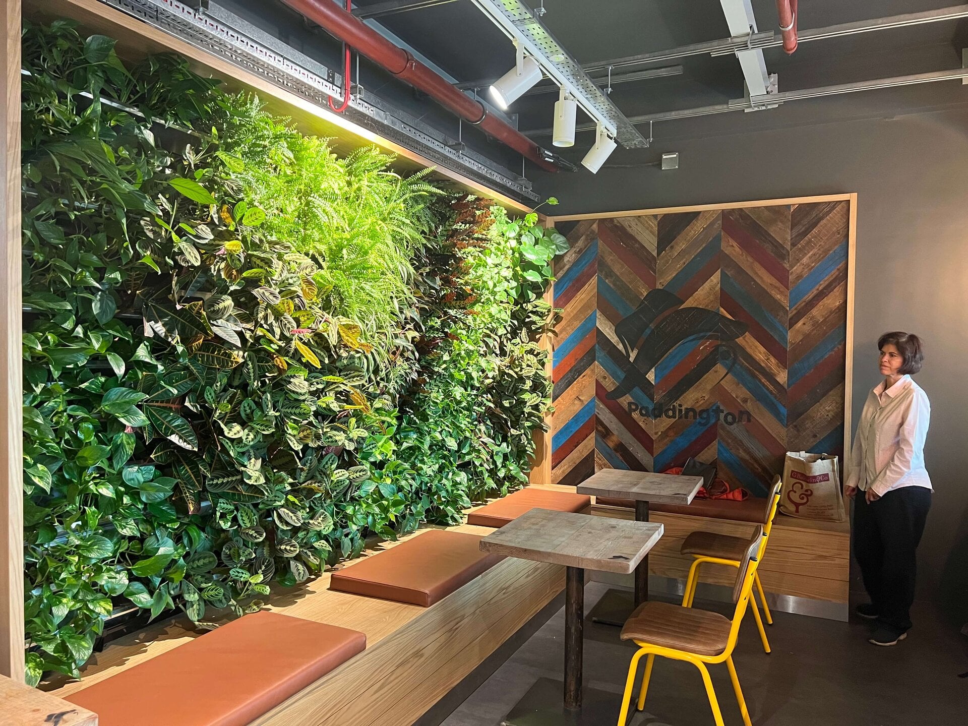 Paddington Cafe Living Wall
