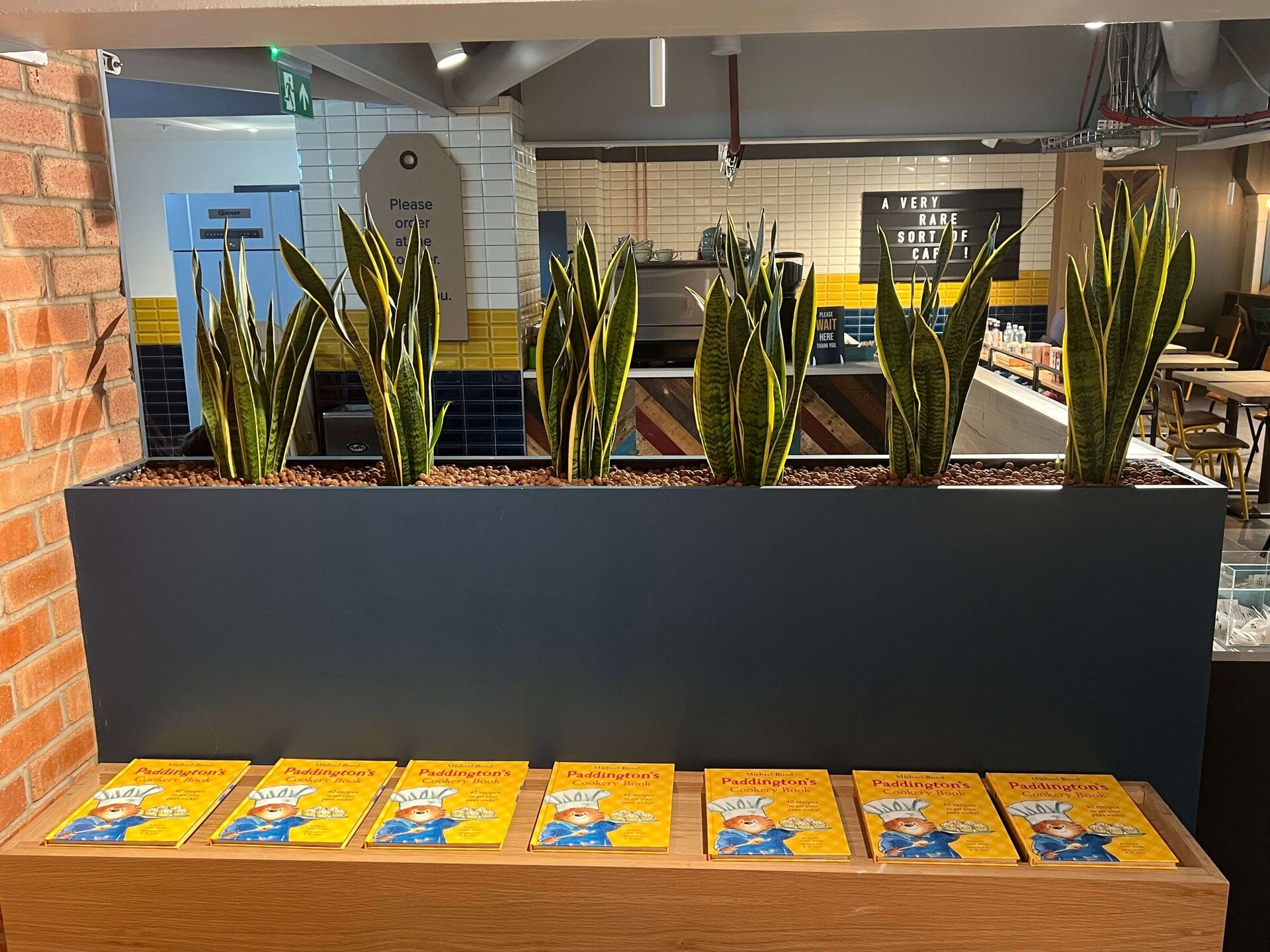 Paddington Cafe Living Wall