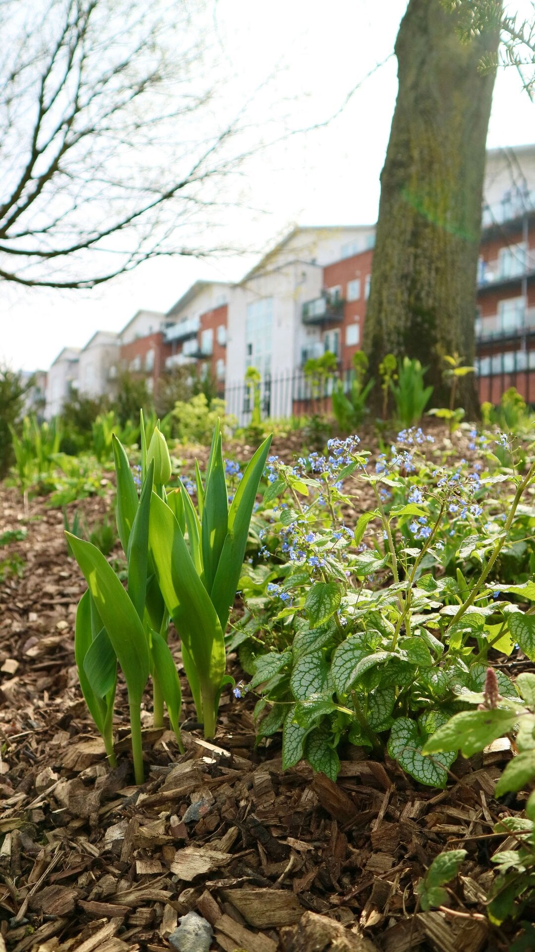 Queen's Park Canalside