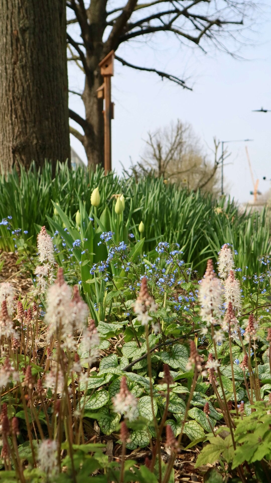 Queen's Park Canalside