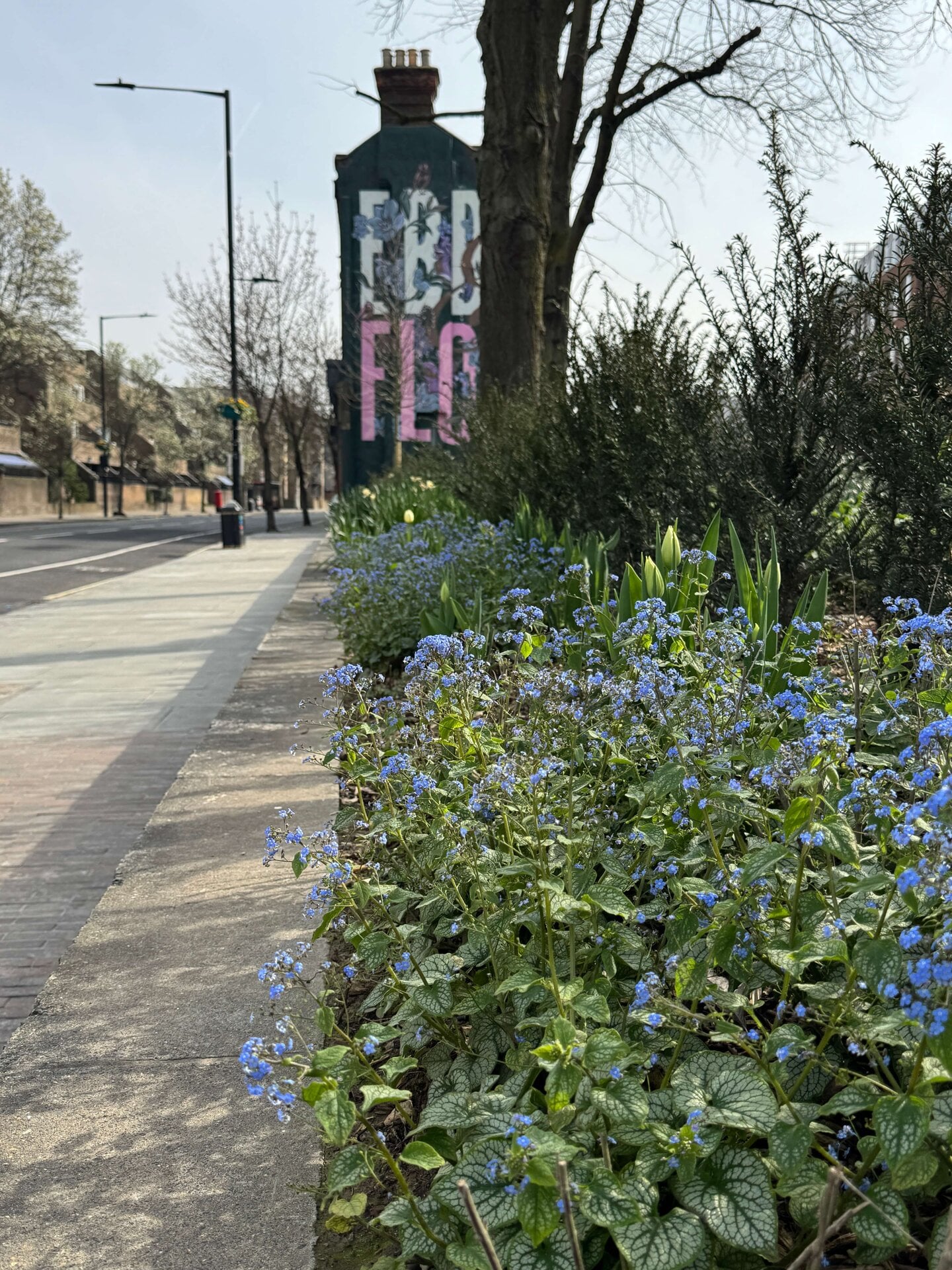 Queen's Park Canalside