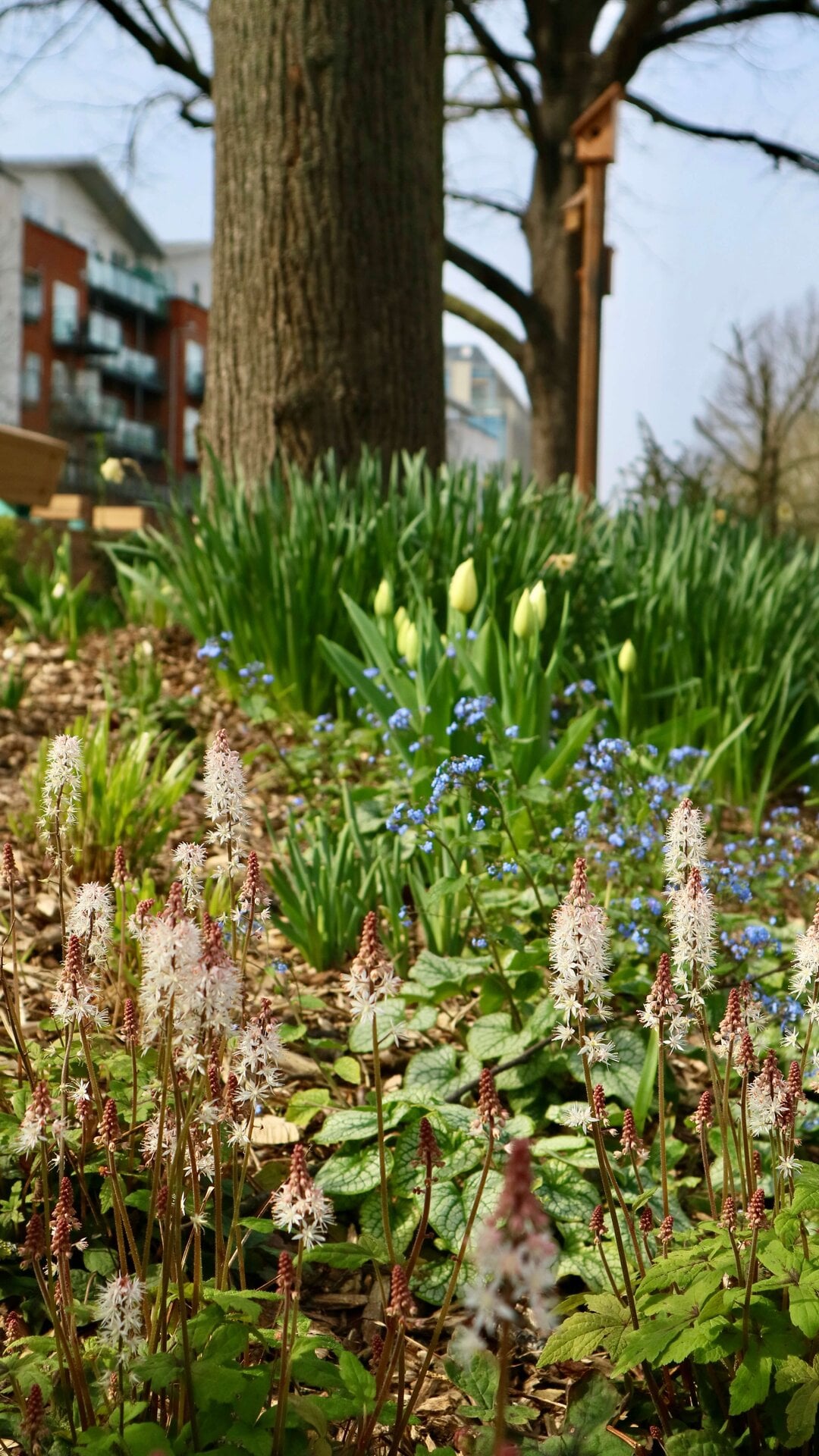 Queen's Park Canalside