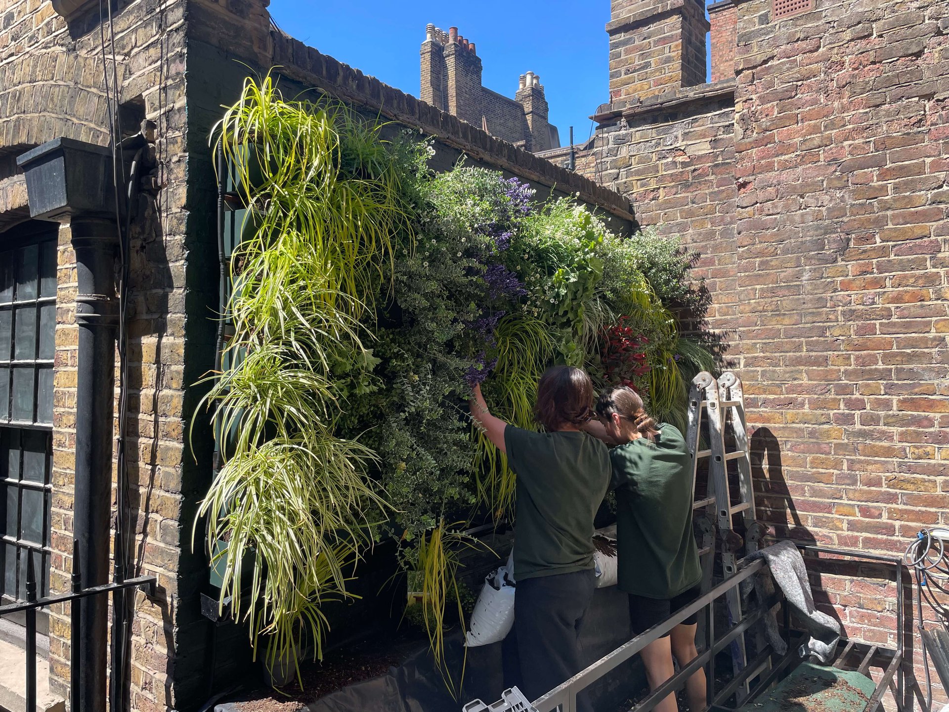 Bantof Restaurant Green Wall