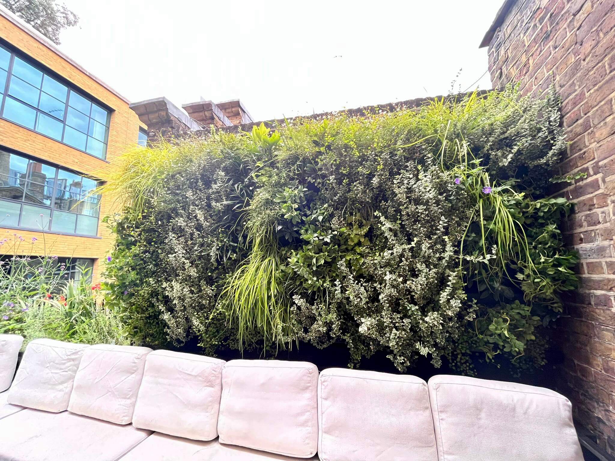 Bantof Restaurant Green Wall