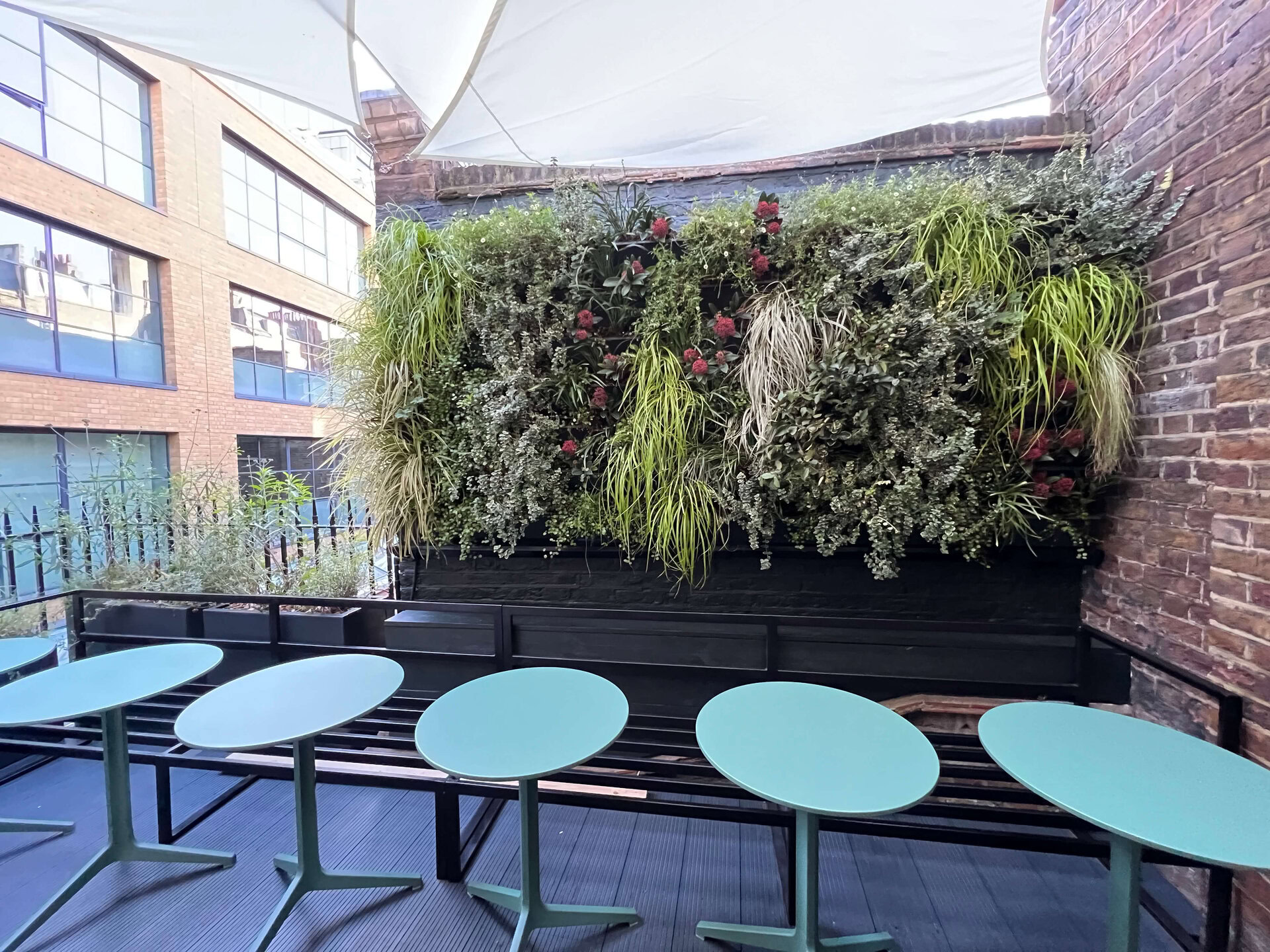 Bantof Restaurant Green Wall