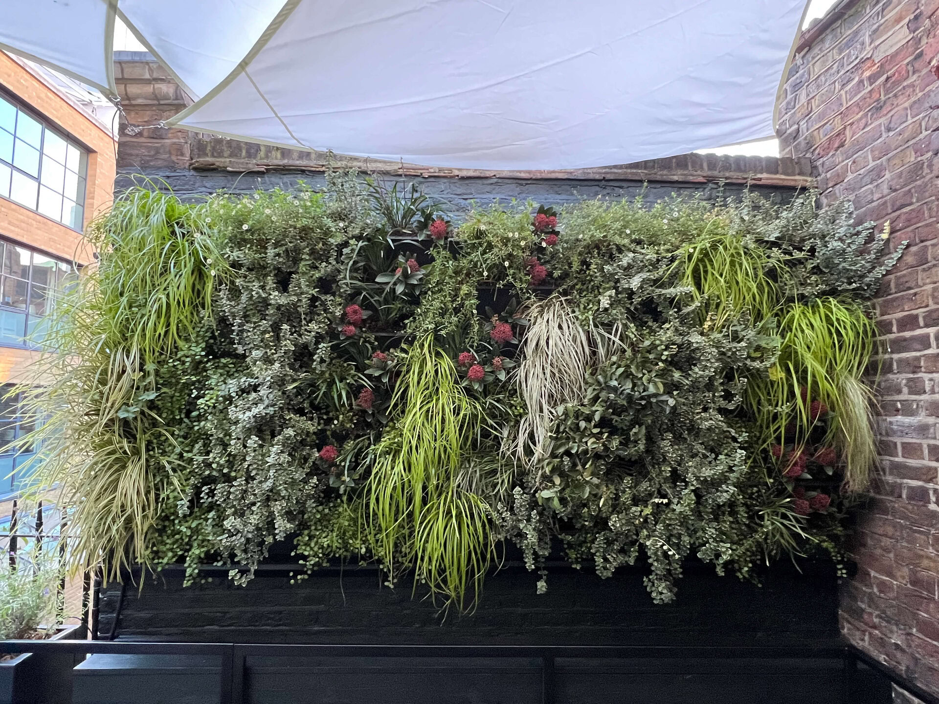 Bantof Restaurant Green Wall